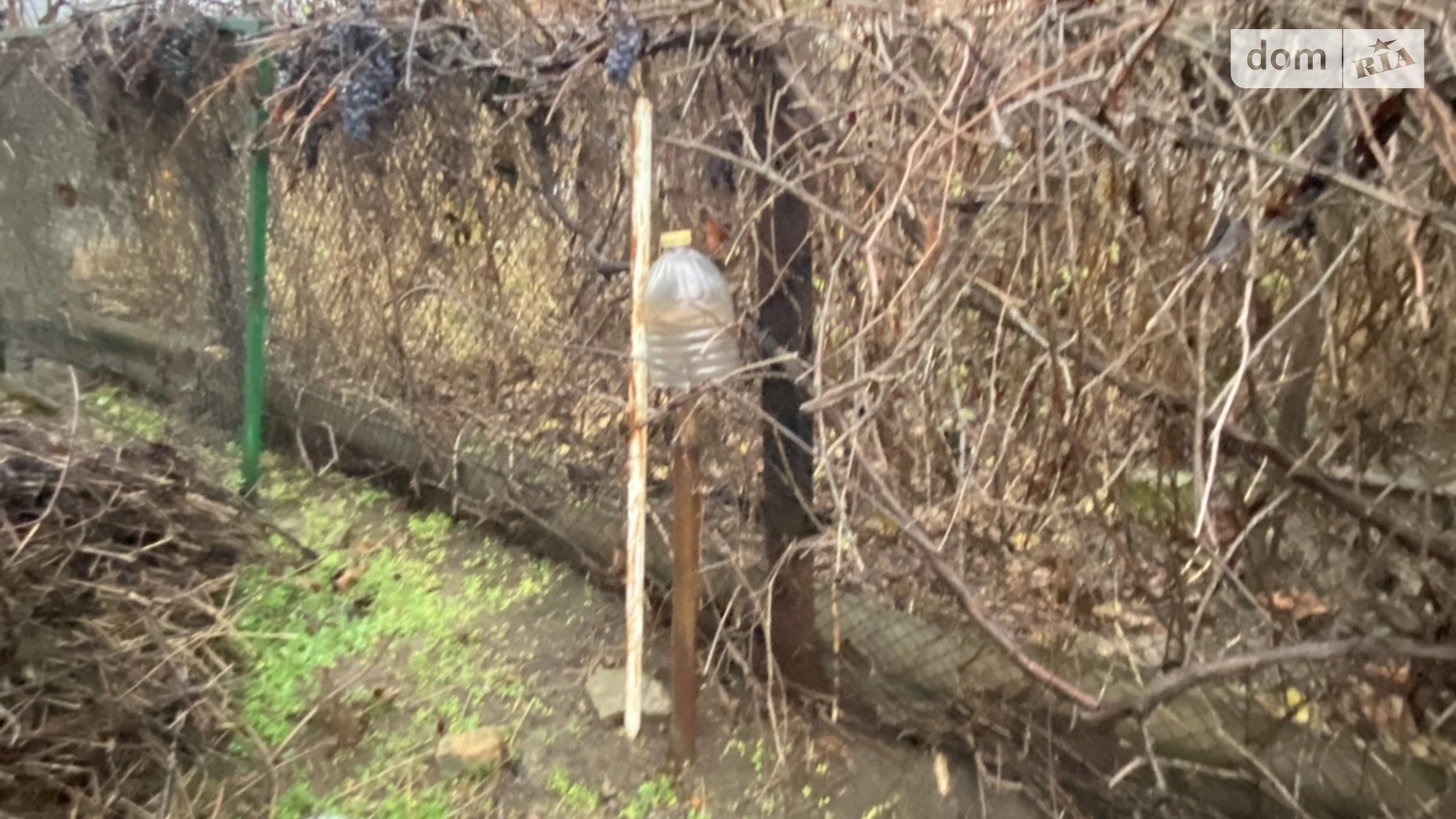 вулиця Абрикосова Селище (Литин), цена: 15000 $ - фото 3