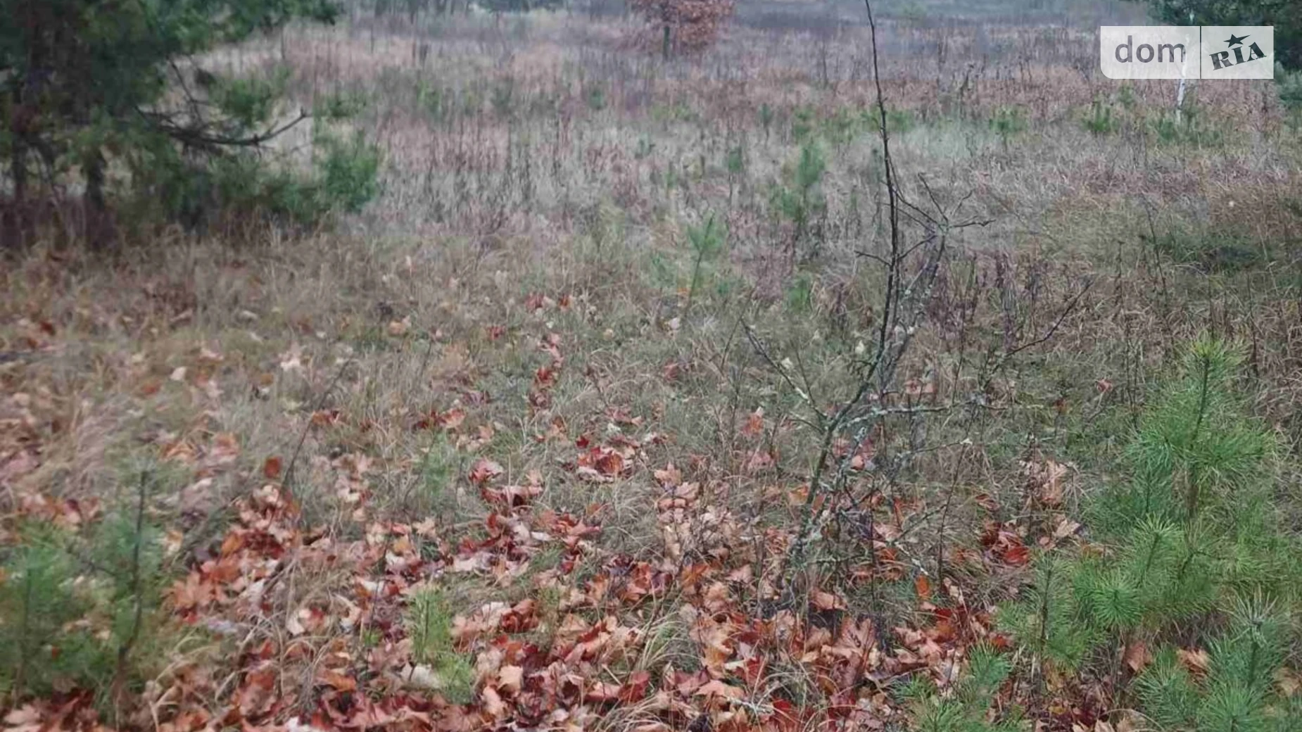 Хомутец, цена: 508167 грн - фото 2