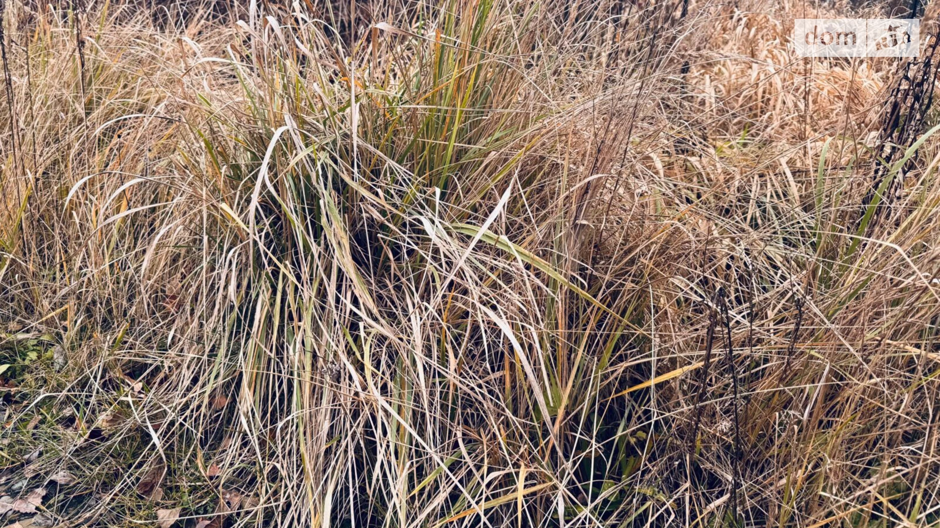 Сдается в аренду земельный участок 4.3 соток в  области, цена: 2483 грн - фото 3