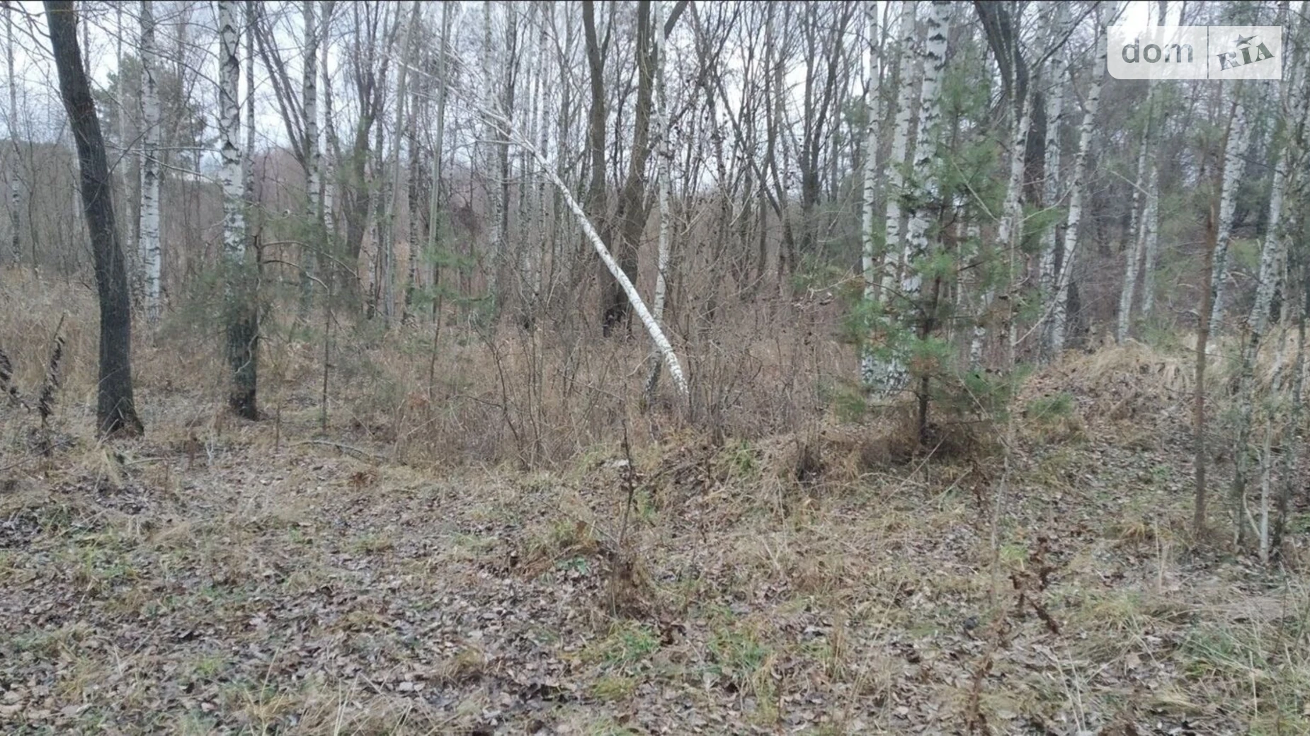 Киев, цена: 10446470 грн - фото 3