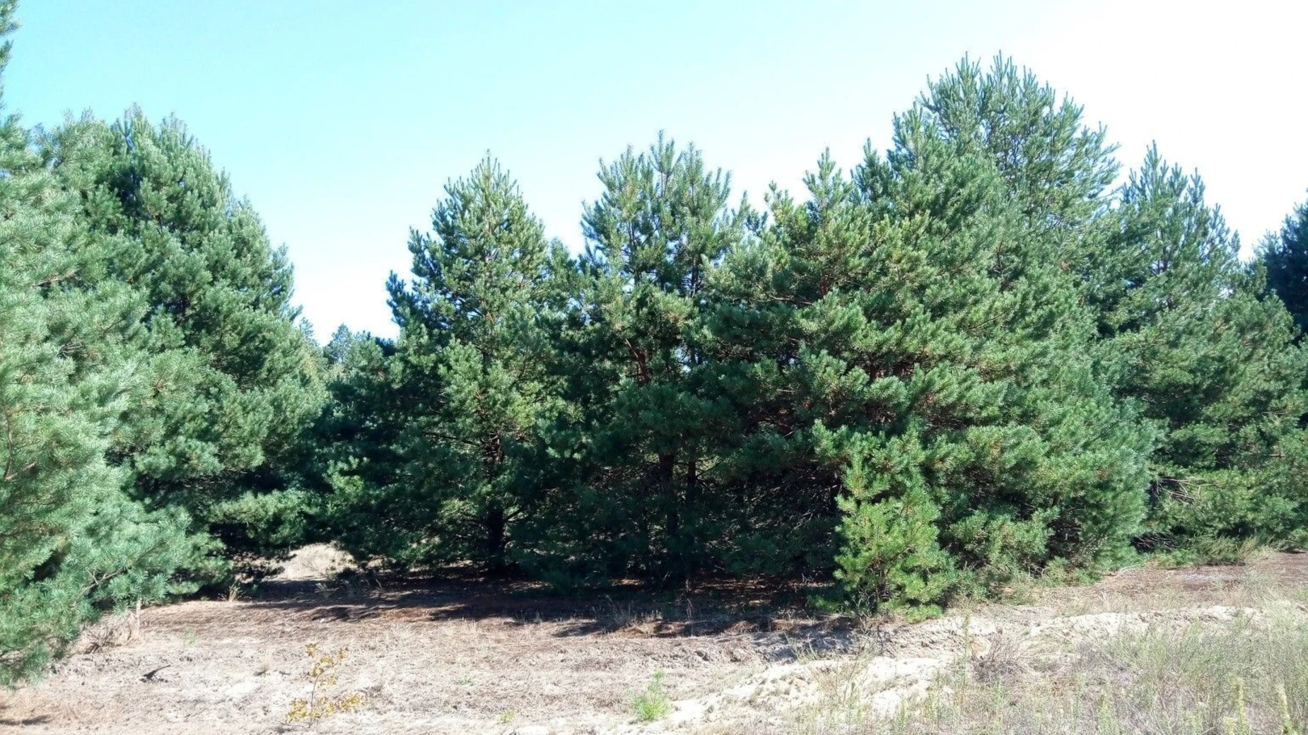 Киев, цена: 4714400 грн - фото 3