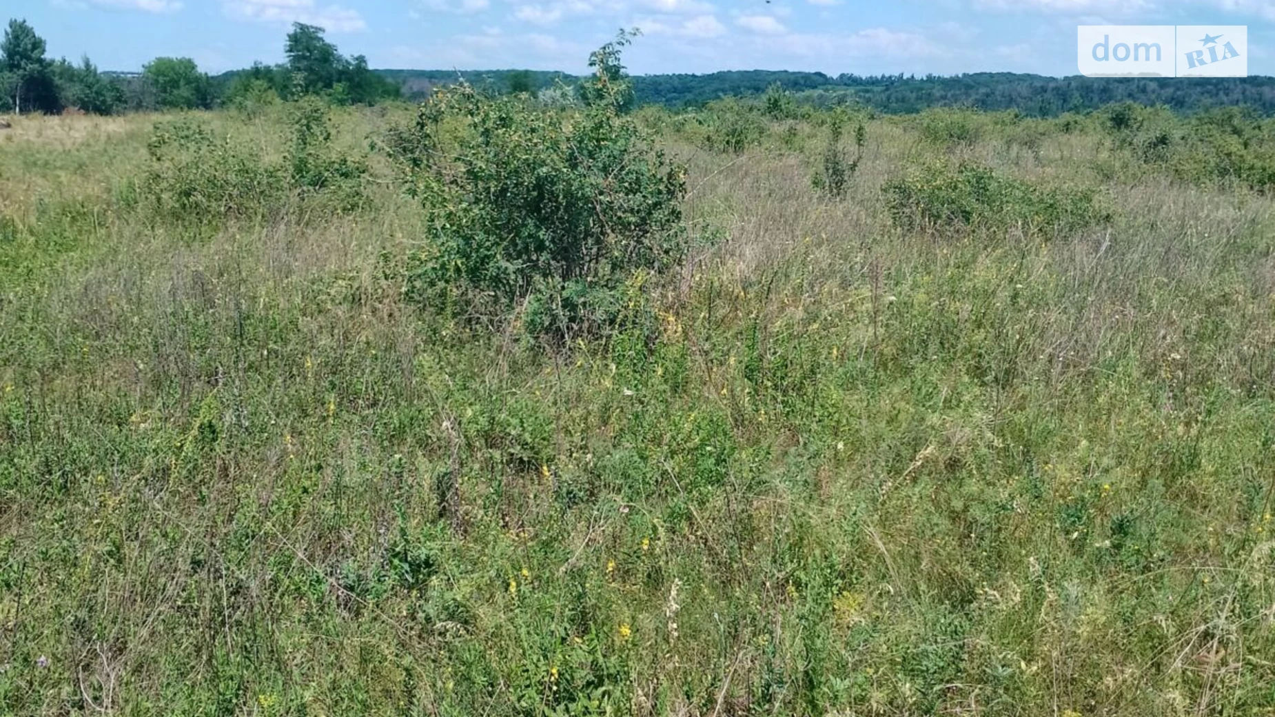 Сдается в аренду земельный участок 4.4061 соток в Кировоградской области, цена: 16099 грн - фото 2