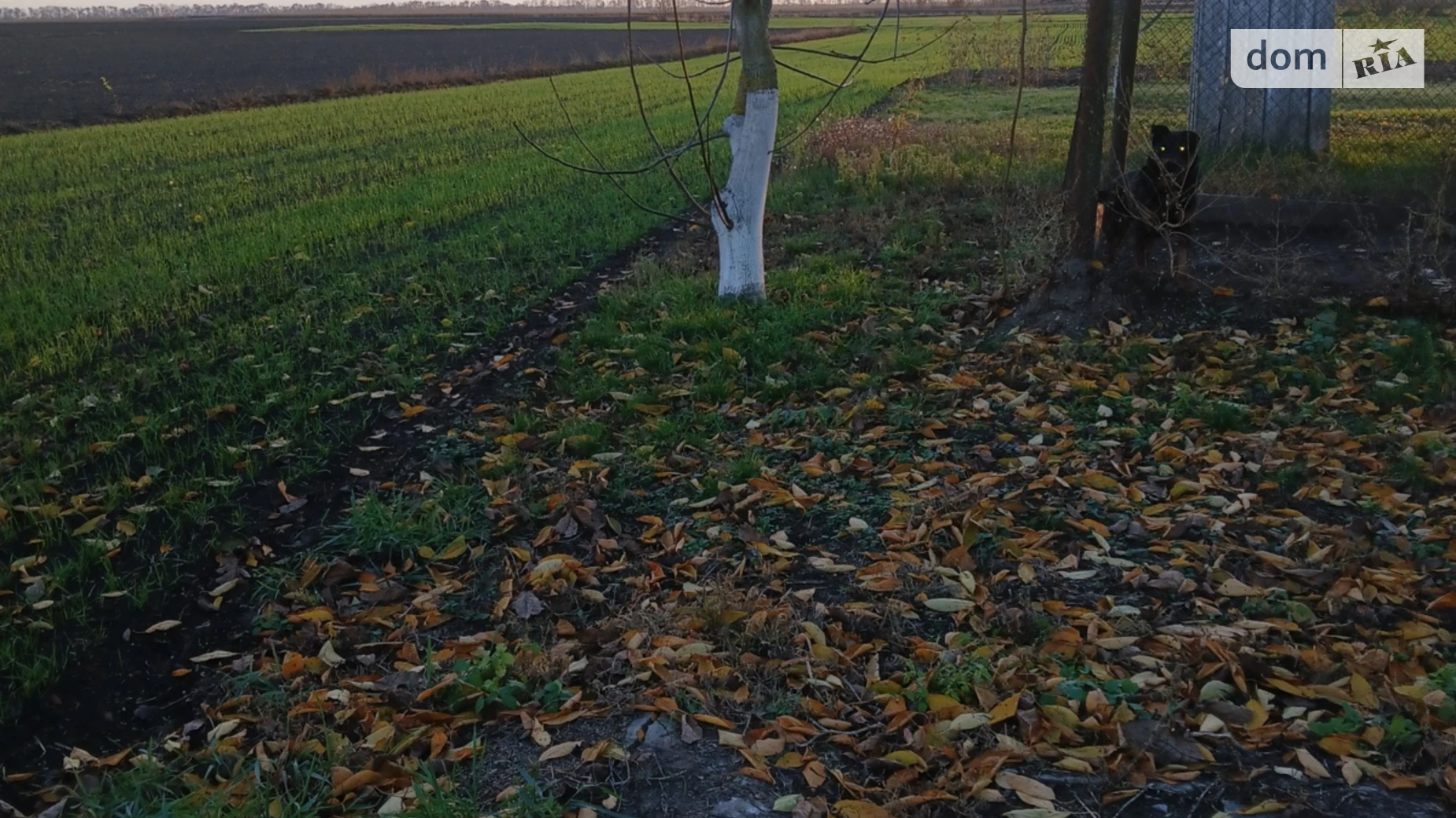 Продается дом на 2 этажа 153 кв. м с садом, цена: 64000 $ - фото 3