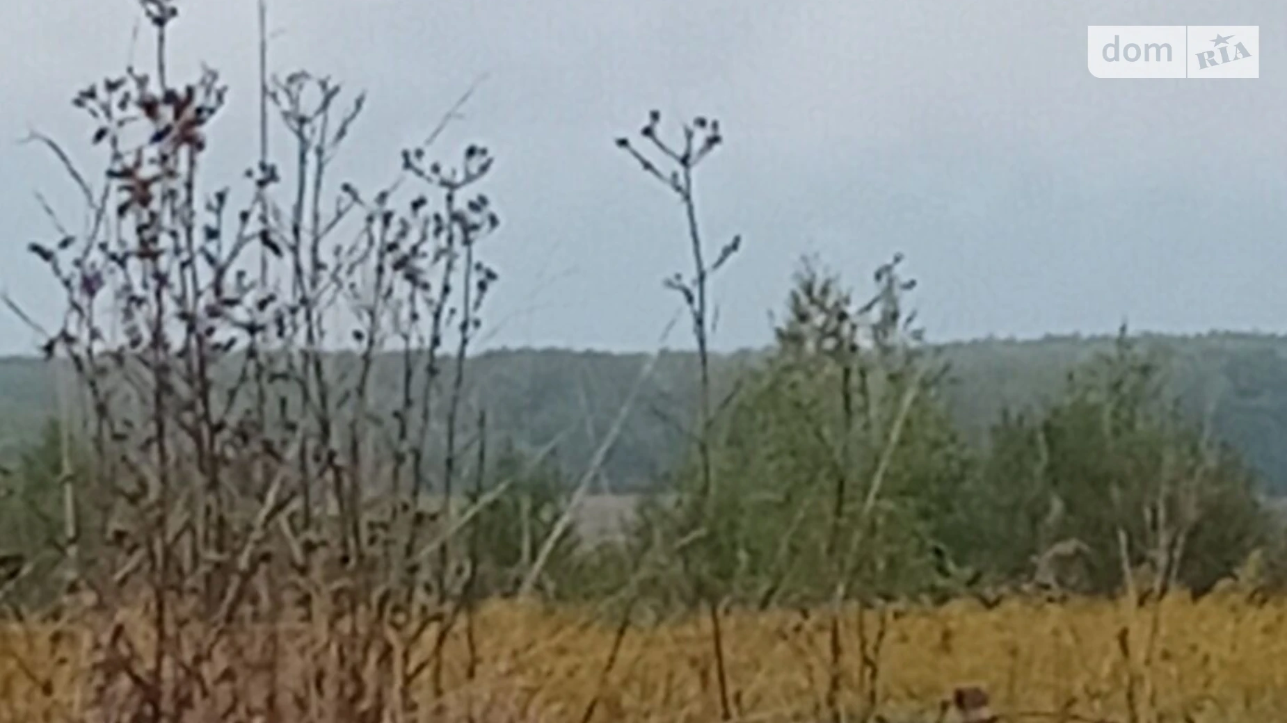 Сдается в аренду земельный участок 0.5734 соток в  области, цена: 948 грн - фото 2