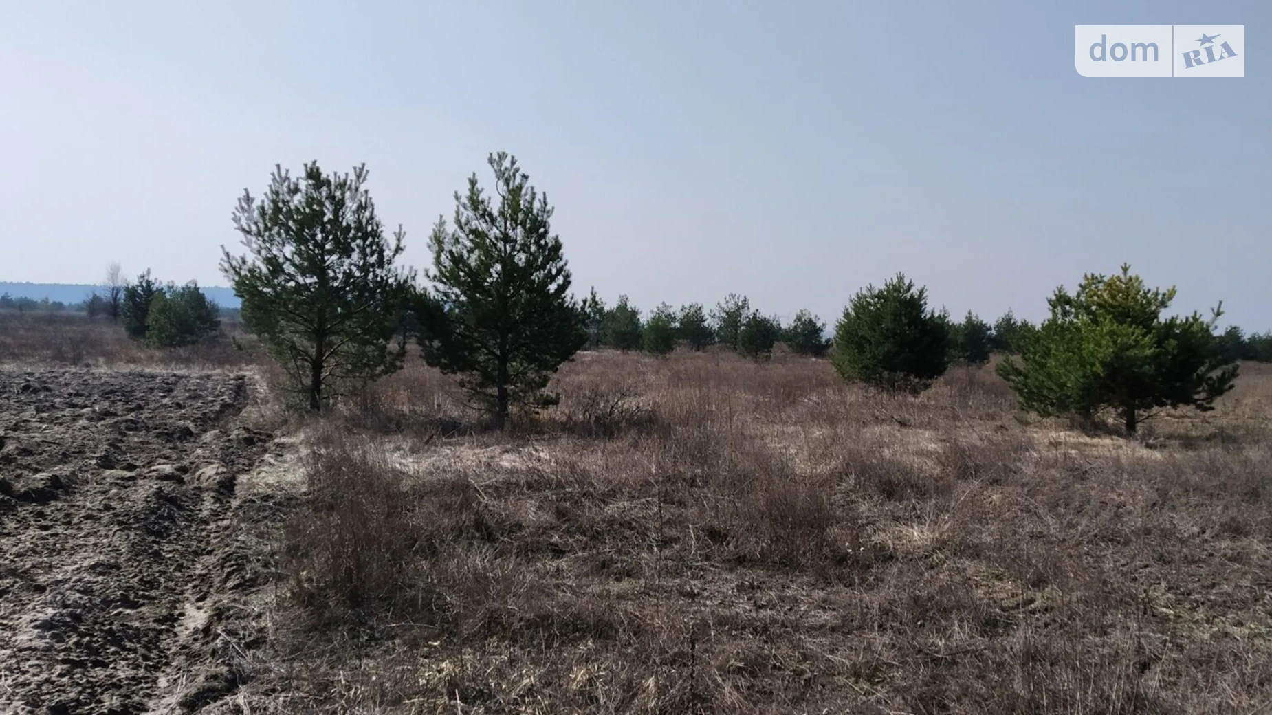 Киев, цена: 406700 грн - фото 3