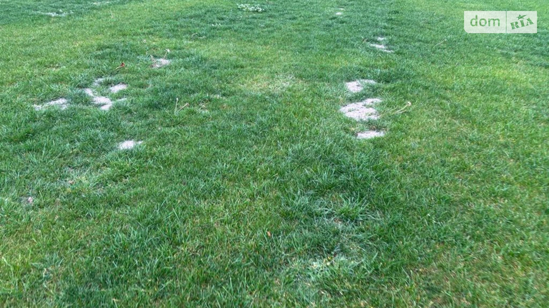 Сдается в аренду земельный участок 6.2597 соток в Днепропетровской области, цена: 22950 грн - фото 3