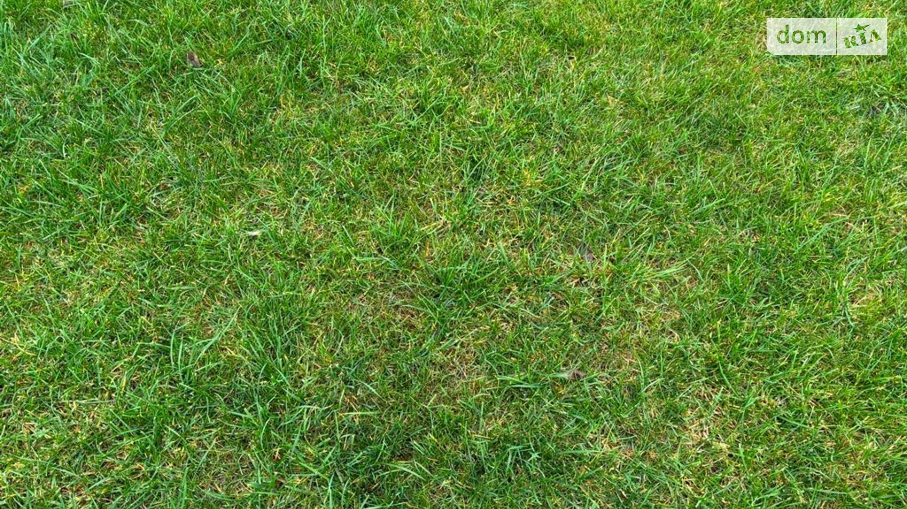 Сдается в аренду земельный участок 15.7755 соток в Днепропетровской области, цена: 58772 грн - фото 3