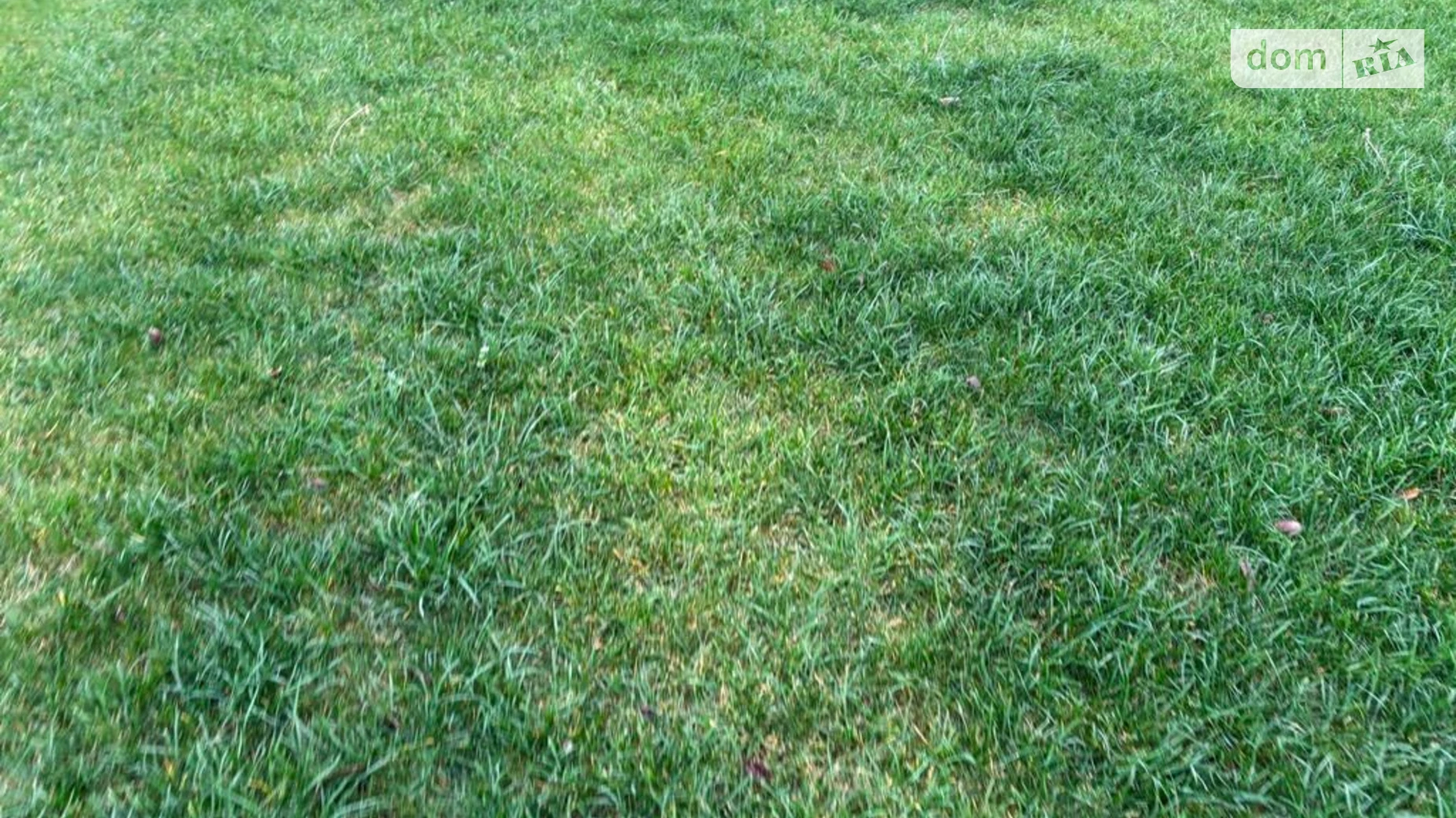 Сдается в аренду земельный участок 5.9049 соток в Днепропетровской области, цена: 15172 грн - фото 2