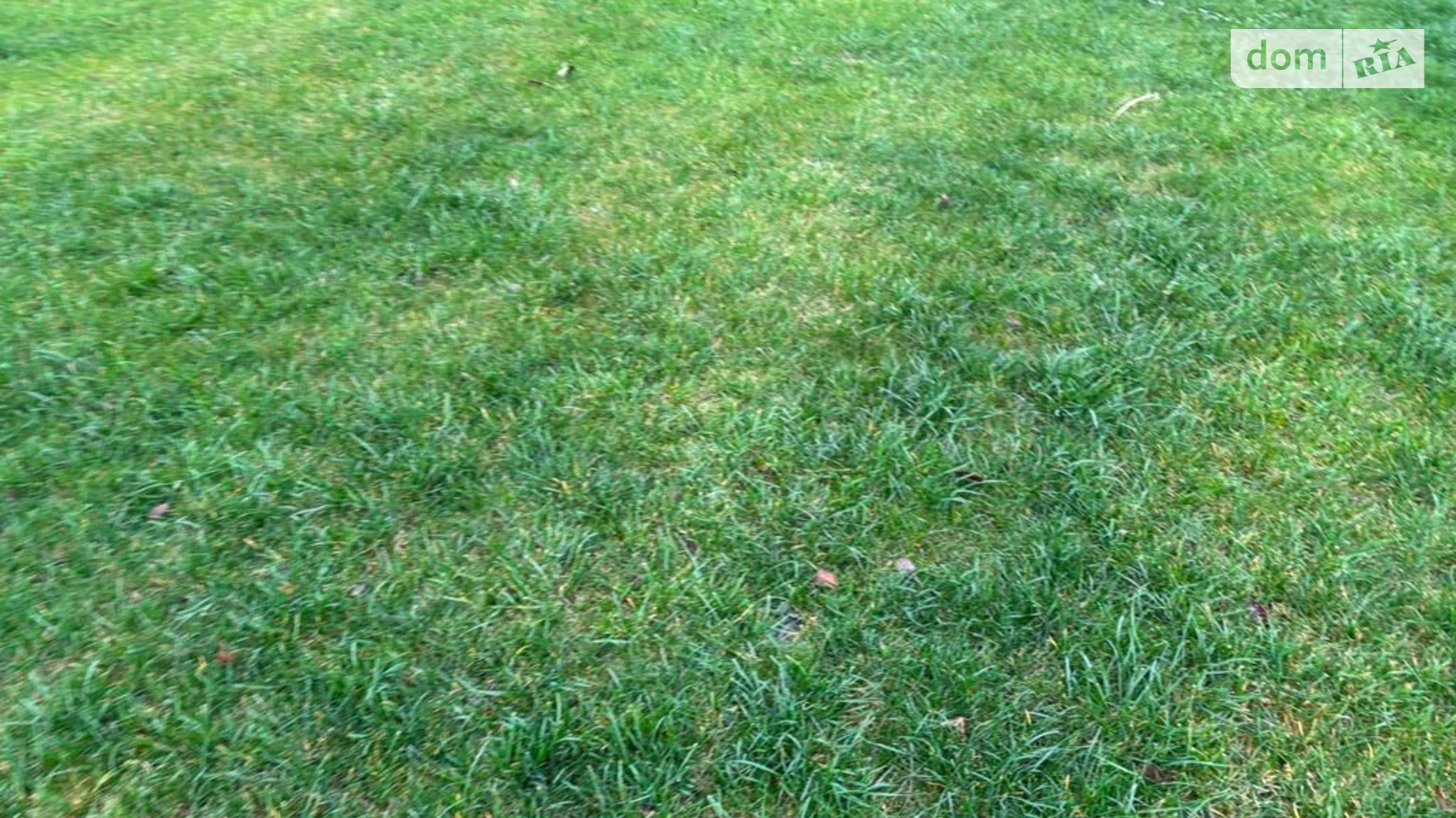 Сдается в аренду земельный участок 10.8151 соток в Днепропетровской области, цена: 40328 грн - фото 2