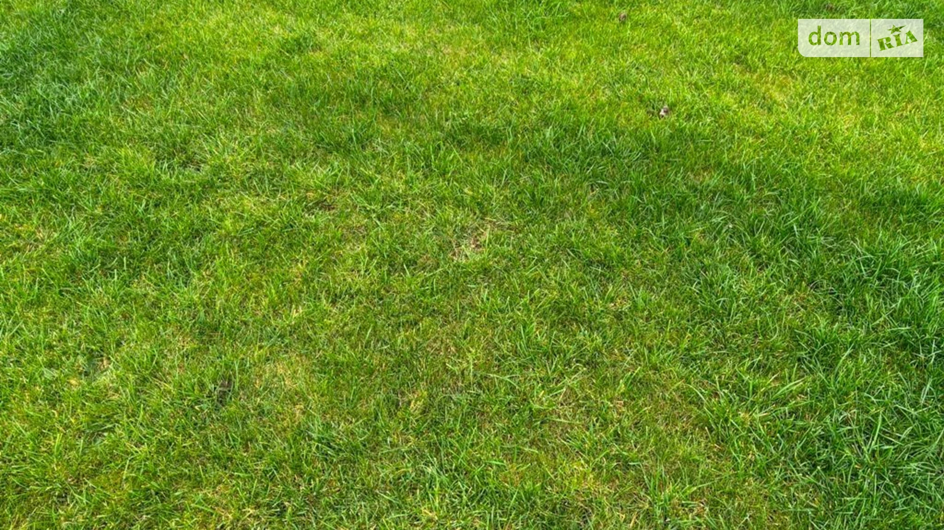 Сдается в аренду земельный участок 7.2425 соток в Днепропетровской области, цена: 23854 грн - фото 2