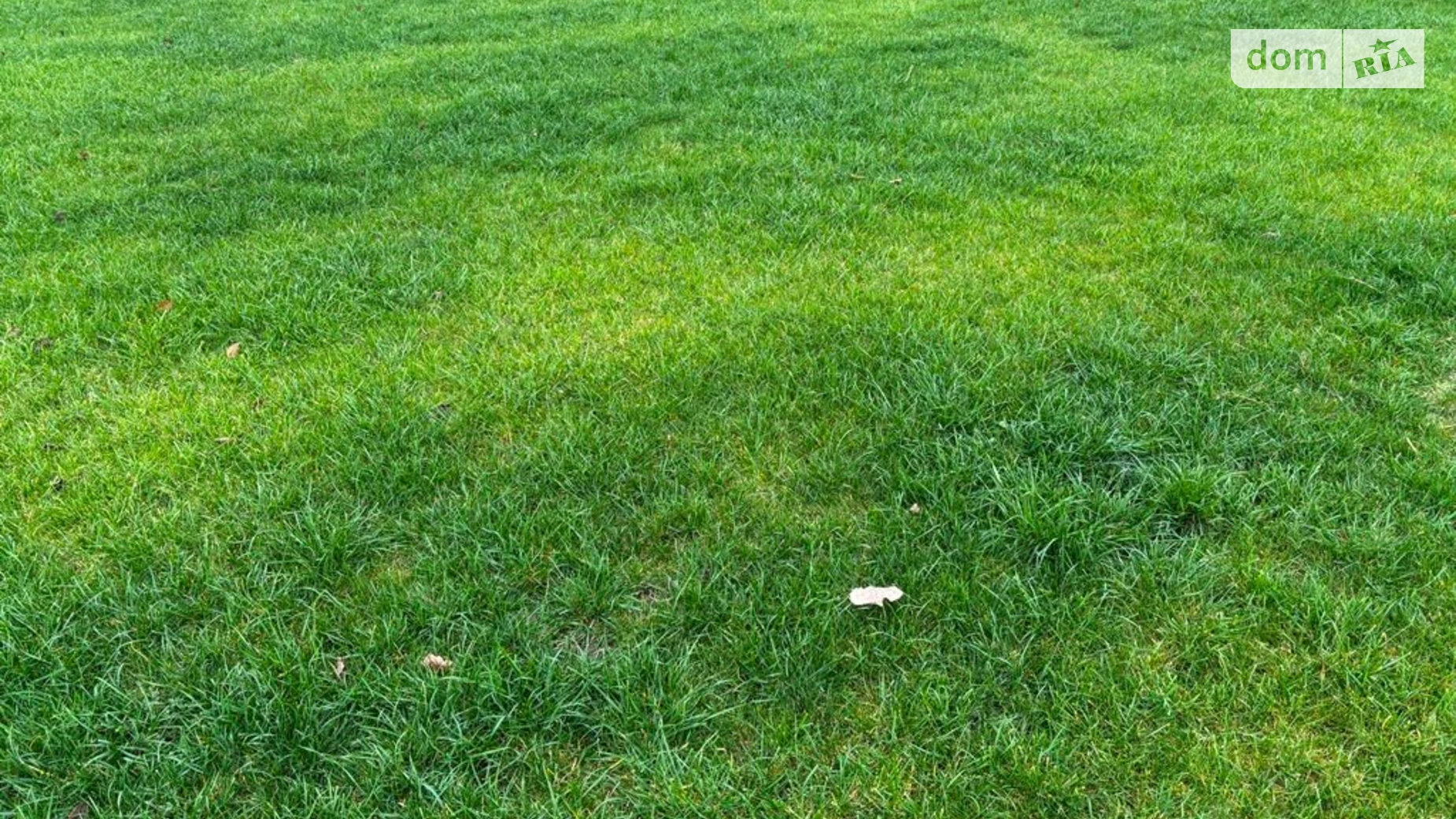 Сдается в аренду земельный участок 2.7422 соток в Днепропетровской области, цена: 10225 грн - фото 2