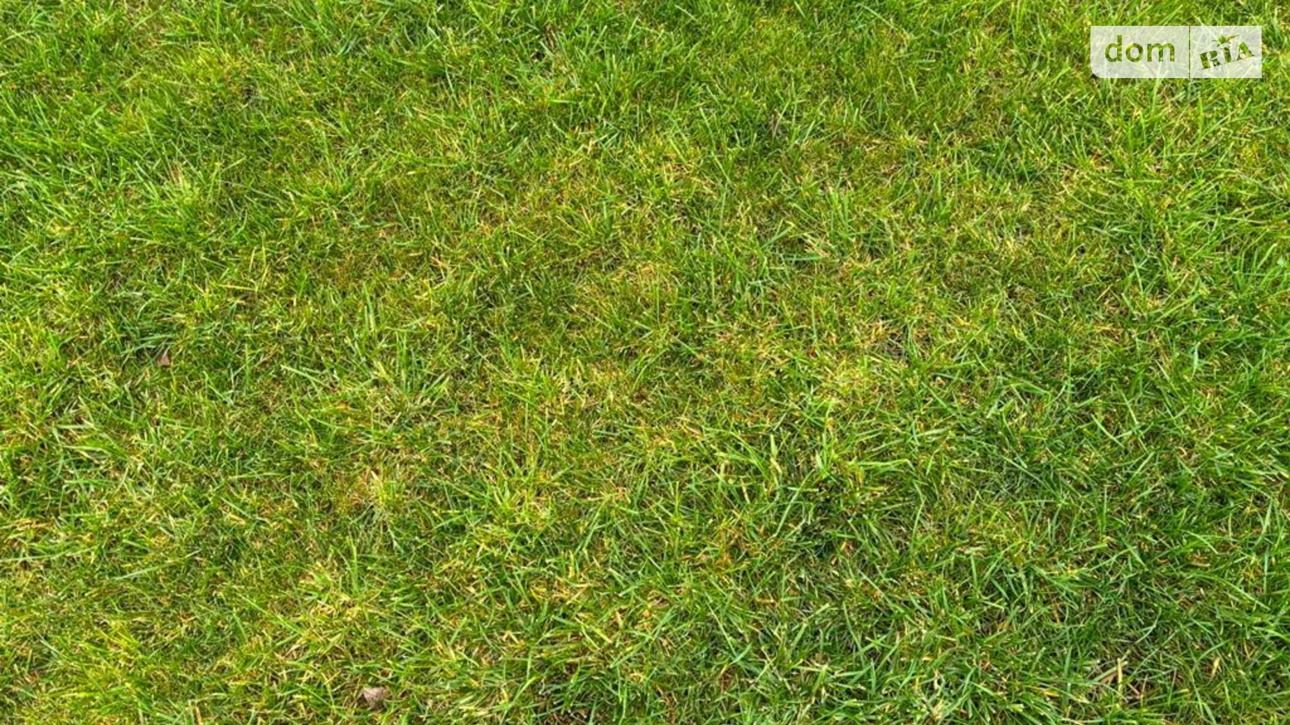 Сдается в аренду земельный участок 7.2425 соток в Днепропетровской области, цена: 23854 грн - фото 3