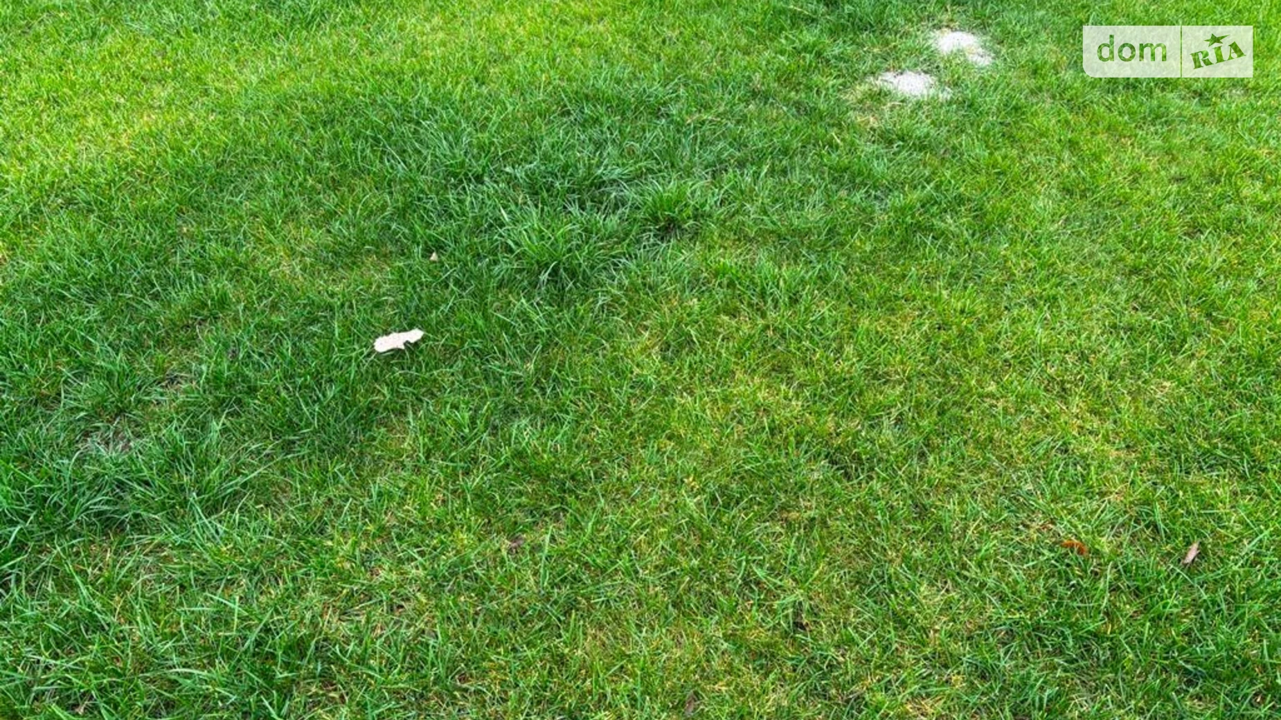 Сдается в аренду земельный участок 2.7422 соток в Днепропетровской области, цена: 10225 грн - фото 3