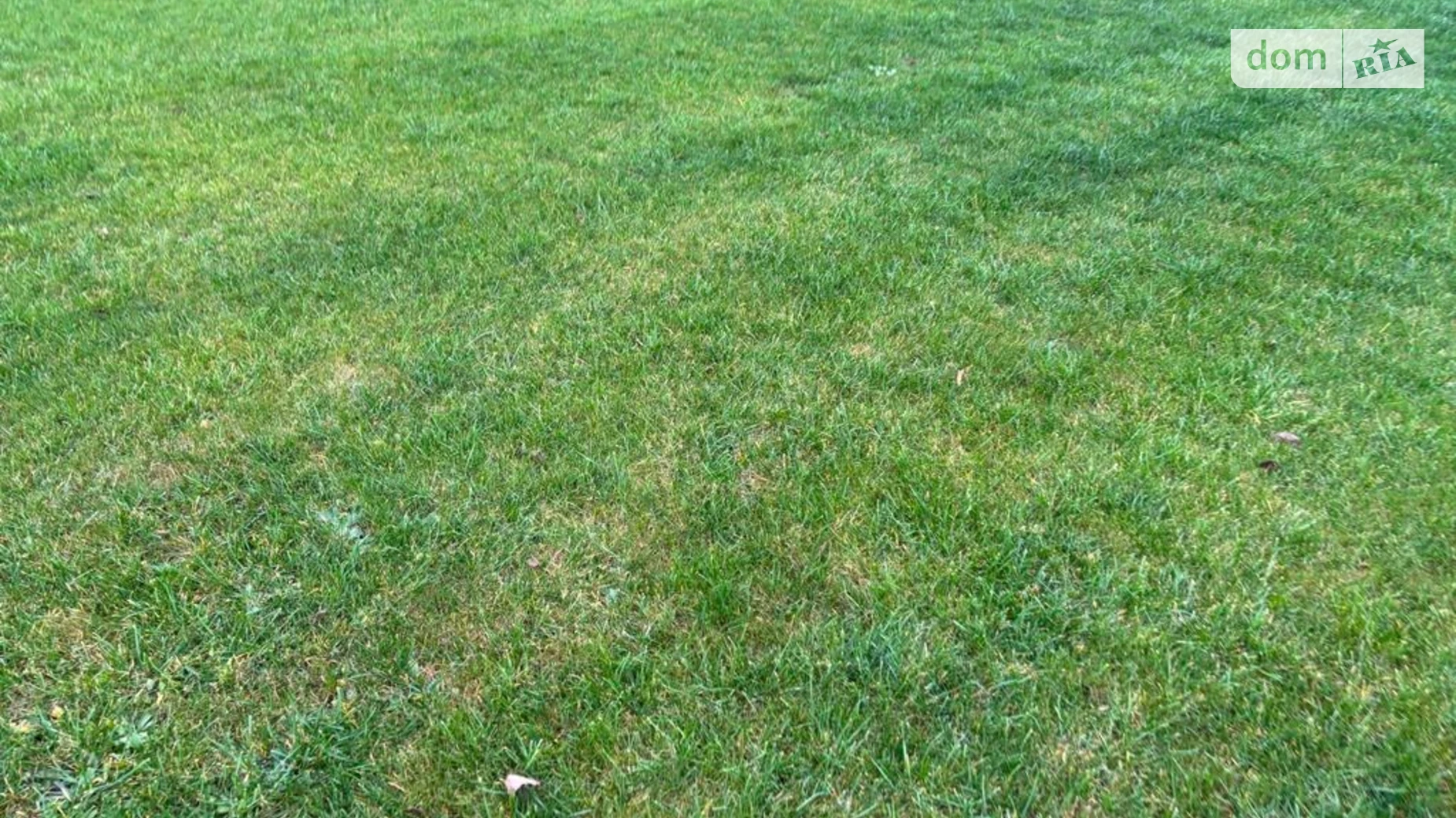 Сдается в аренду земельный участок 5.9049 соток в Днепропетровской области, цена: 15172 грн - фото 3