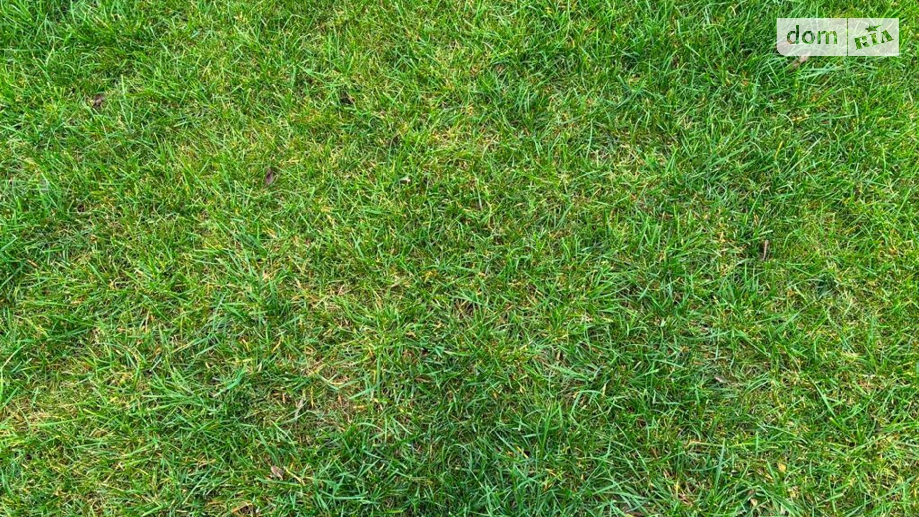 Сдается в аренду земельный участок 9.159 соток в Днепропетровской области, цена: 15199 грн - фото 2