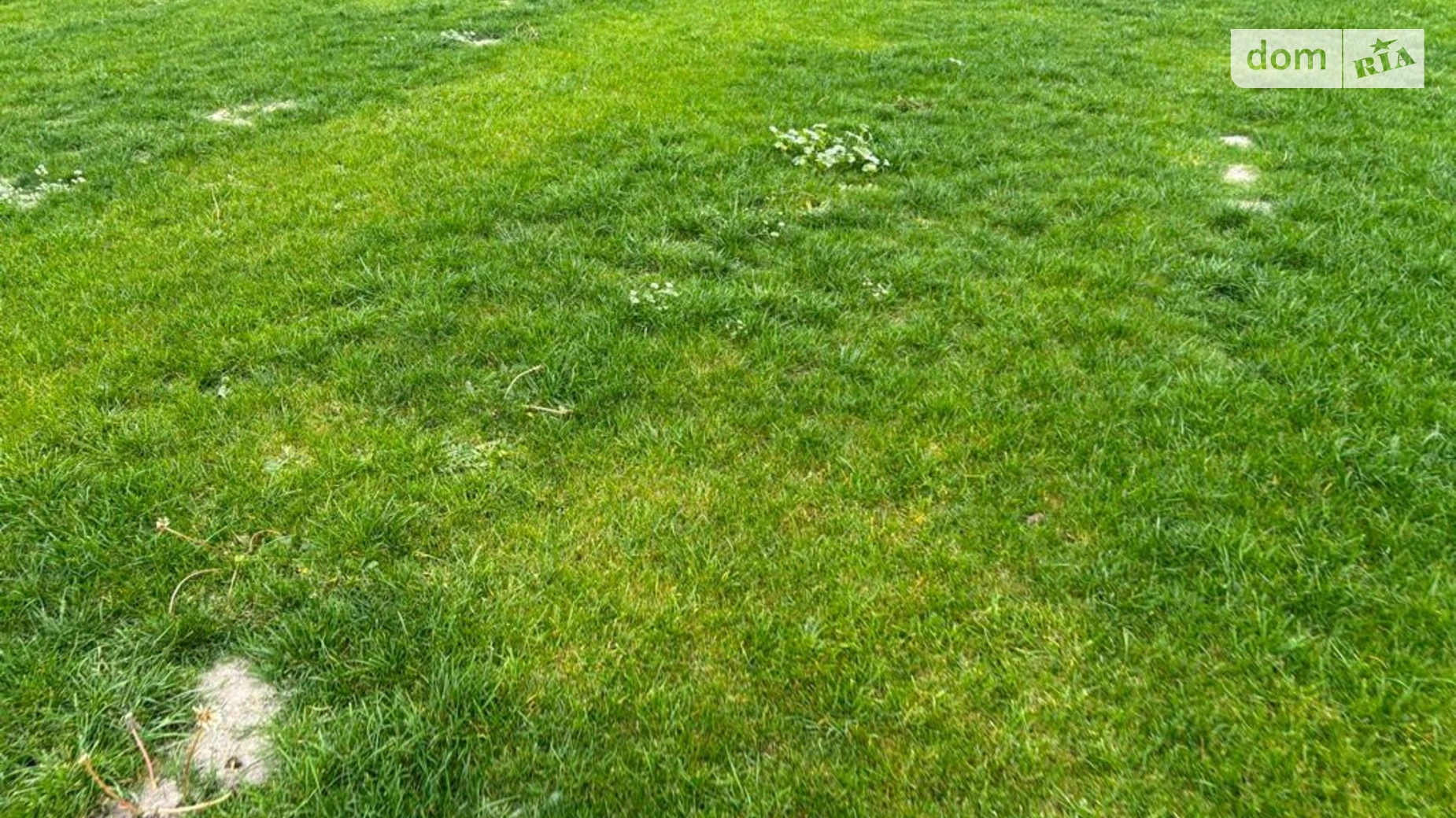 Сдается в аренду земельный участок 12.1507 соток в Днепропетровской области, цена: 45624 грн - фото 3