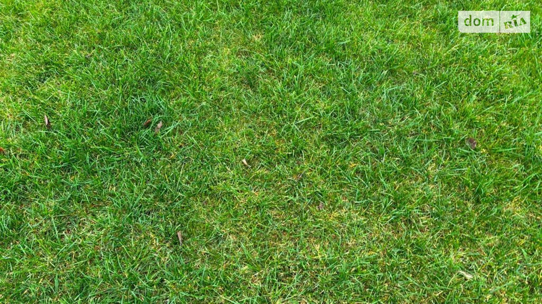 Сдается в аренду земельный участок 9.159 соток в Днепропетровской области, цена: 15199 грн - фото 3