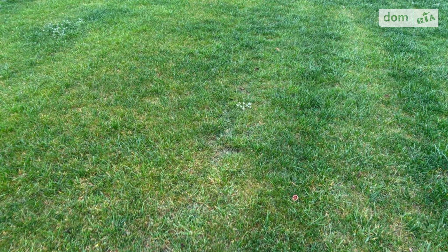 Сдается в аренду земельный участок 11.9807 соток в Днепропетровской области, цена: 38778 грн - фото 2