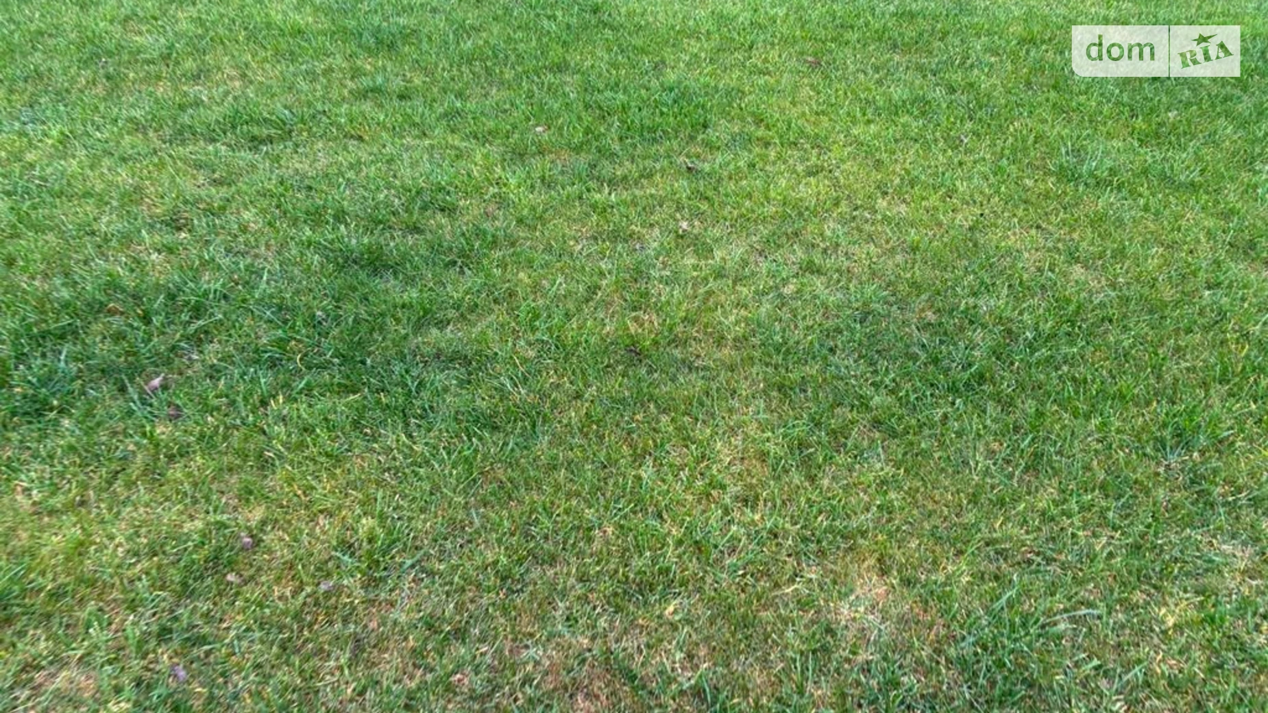 Сдается в аренду земельный участок 11.9807 соток в Днепропетровской области, цена: 38778 грн - фото 3