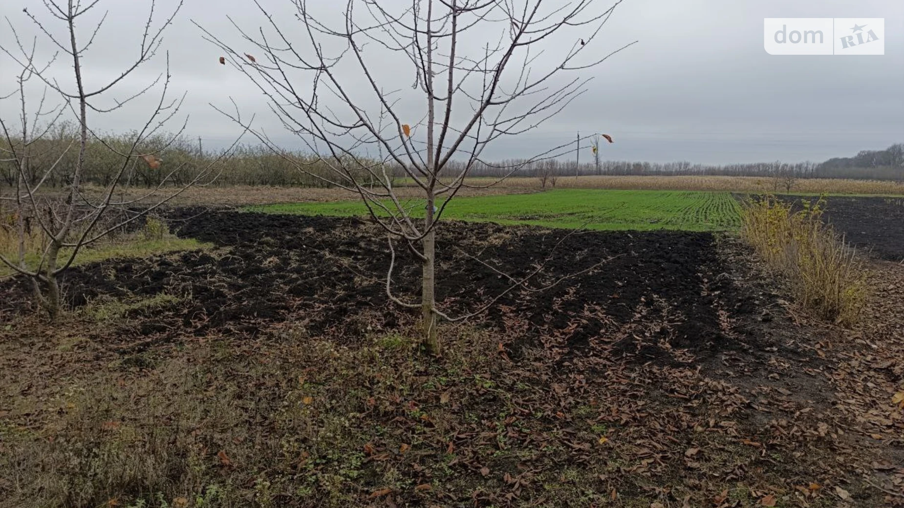 Продается одноэтажный дом 86 кв. м с подвалом, цена: 10000 $ - фото 4