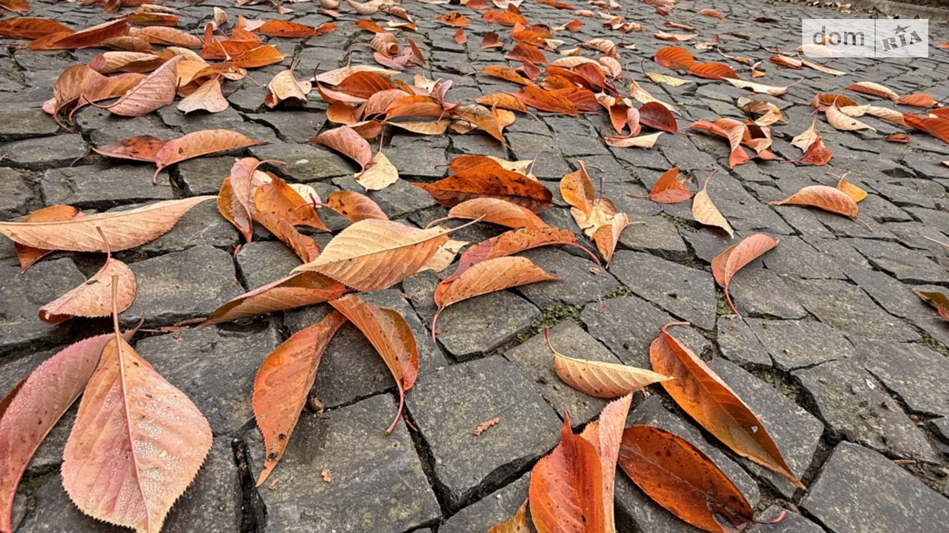 Продается дом на 2 этажа 467.6 кв. м с верандой, цена: 330000 € - фото 2