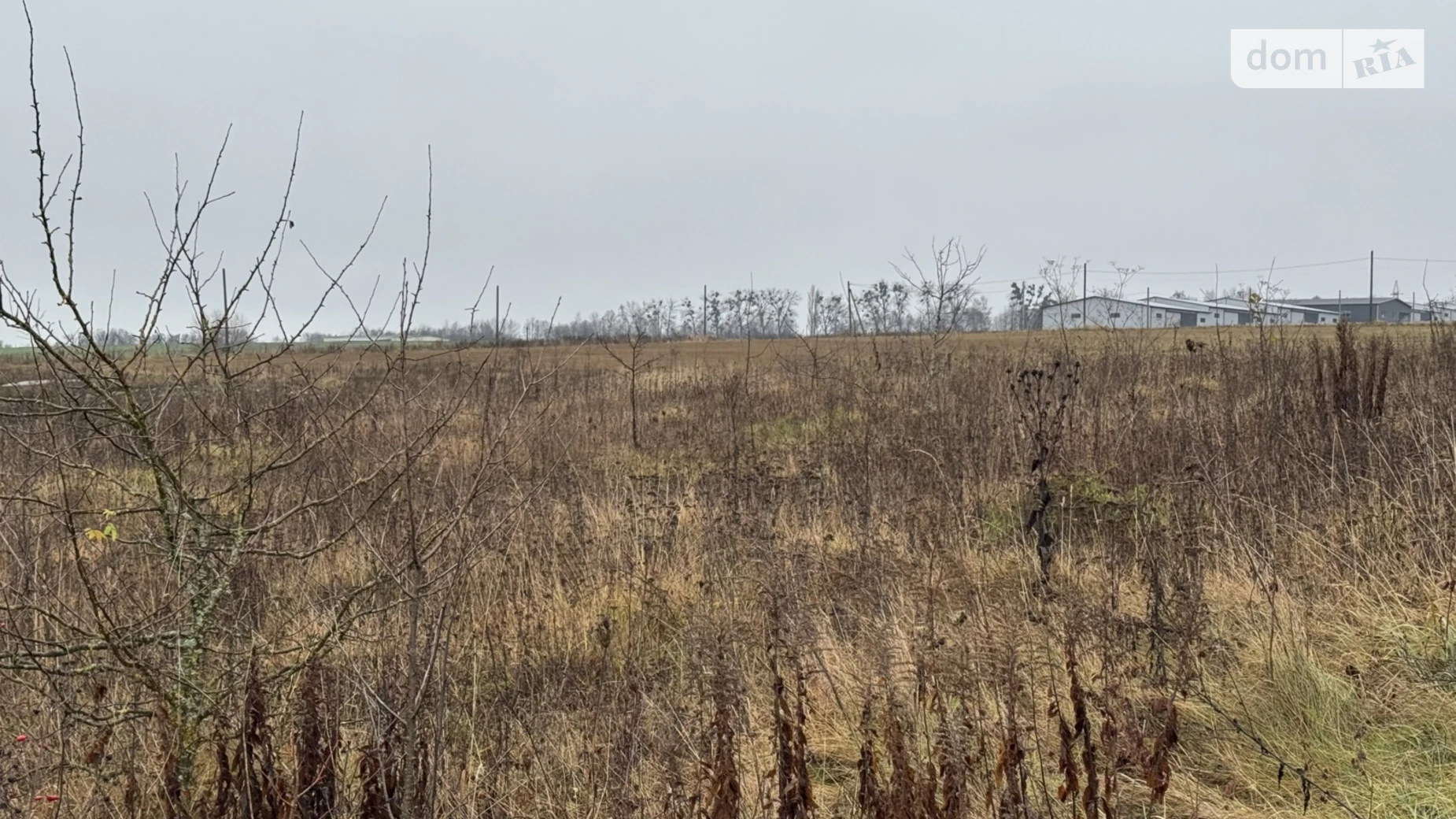 Продается земельный участок 25 соток в Хмельницкой области, цена: 11000 $ - фото 2
