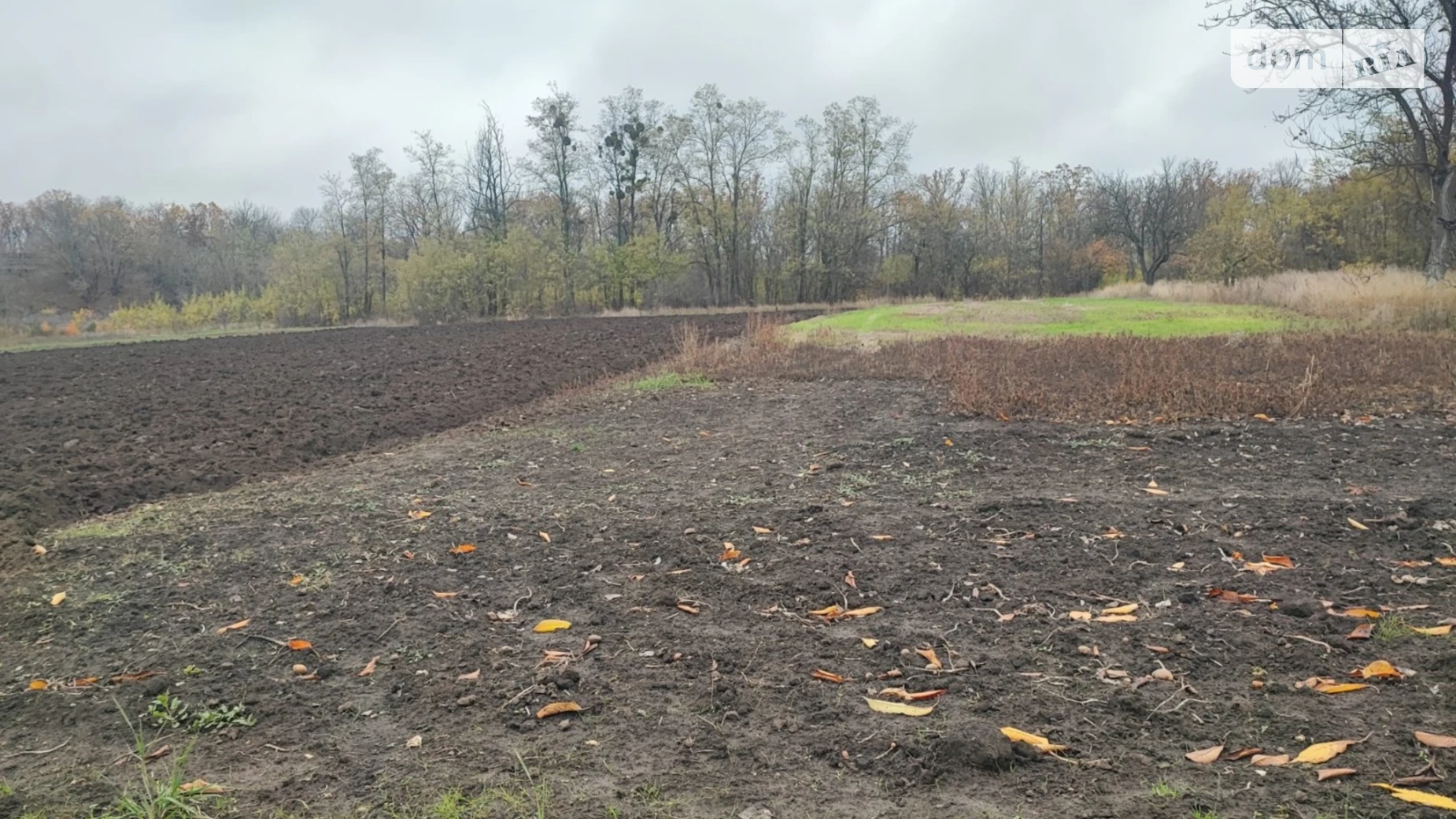 Продается одноэтажный дом 57 кв. м с камином, цена: 15000 $ - фото 4