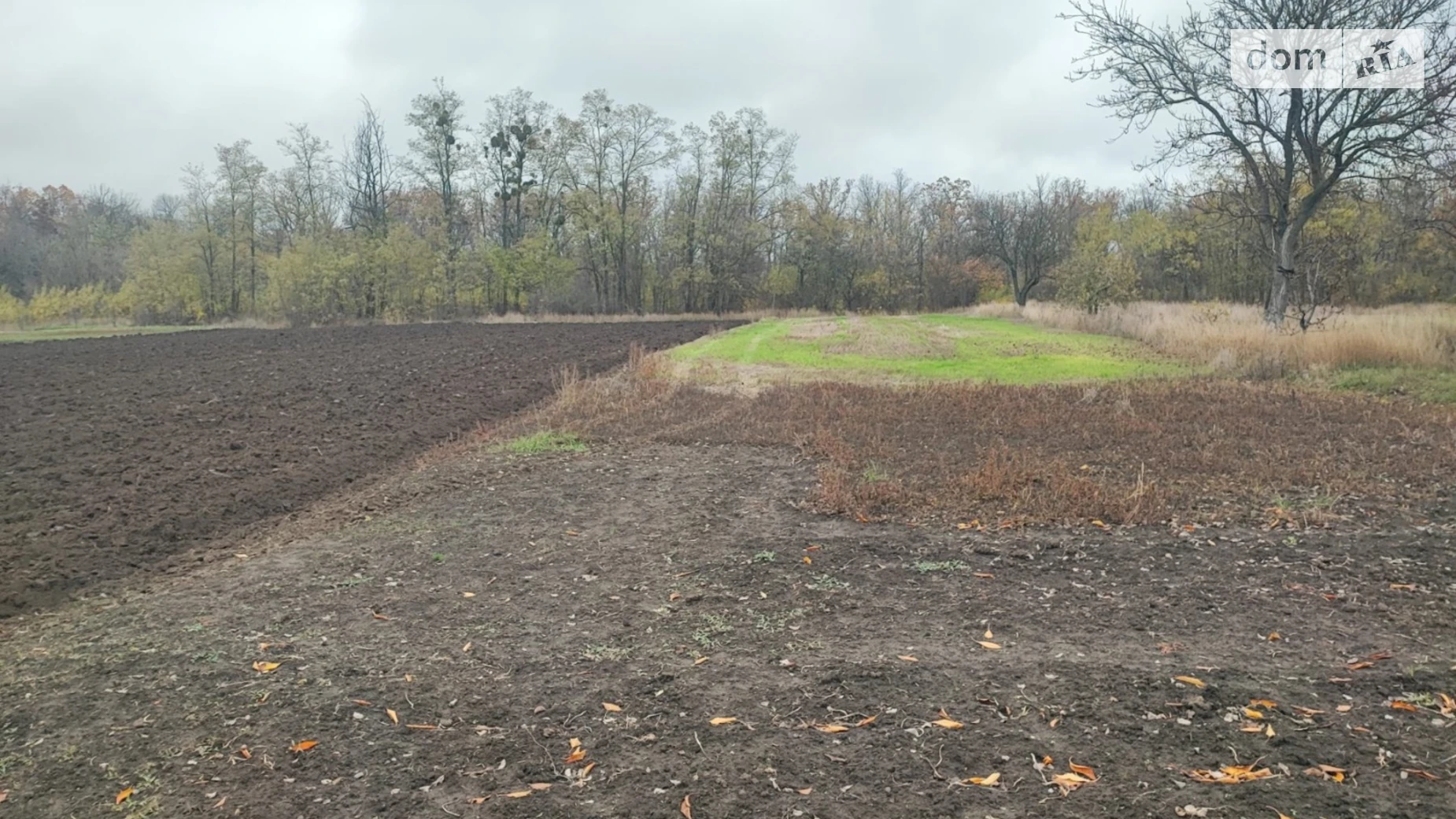 Продается одноэтажный дом 57 кв. м с камином, цена: 15000 $ - фото 5