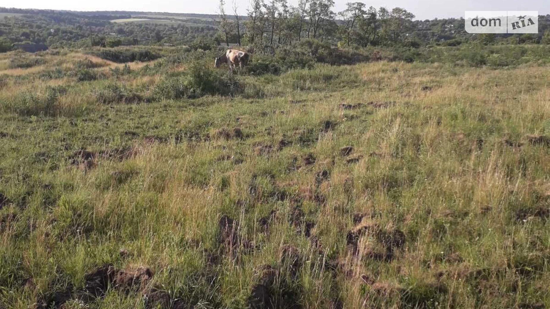 Сокол, цена: 2910 грн - фото 2