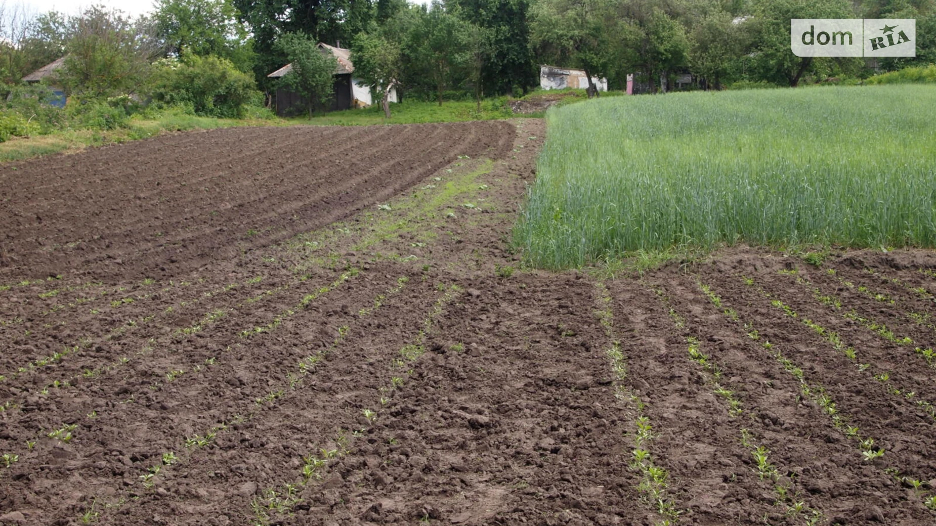 Продається одноповерховий будинок 50.5 кв. м з верандою, цена: 15000 $ - фото 4