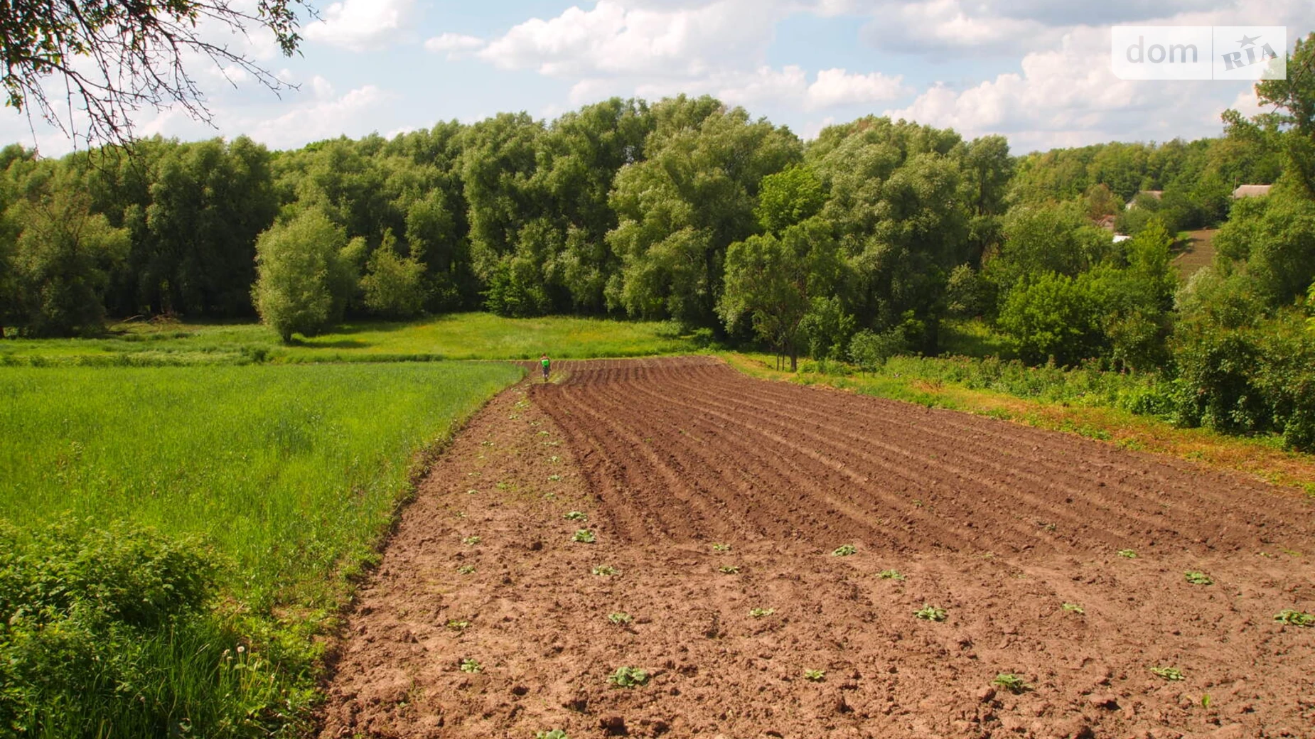 Продається одноповерховий будинок 50.5 кв. м з верандою, цена: 15000 $ - фото 5