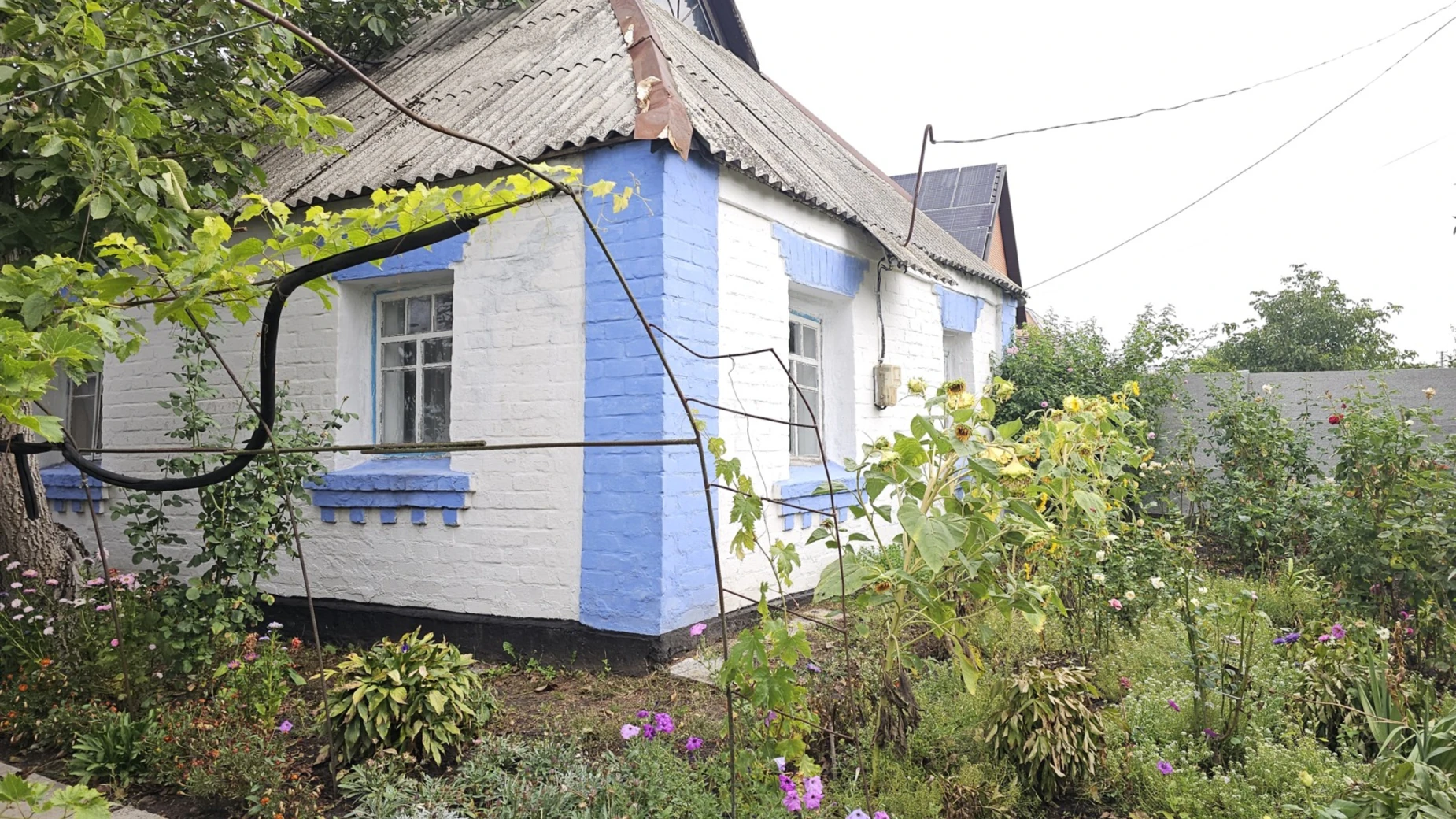 вулиця Квітнева, 19 Рачки, цена: 5500 $ - фото 3