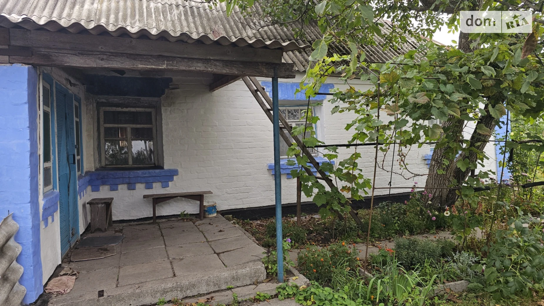 вулиця Квітнева, 19 Рачки, цена: 5500 $ - фото 5