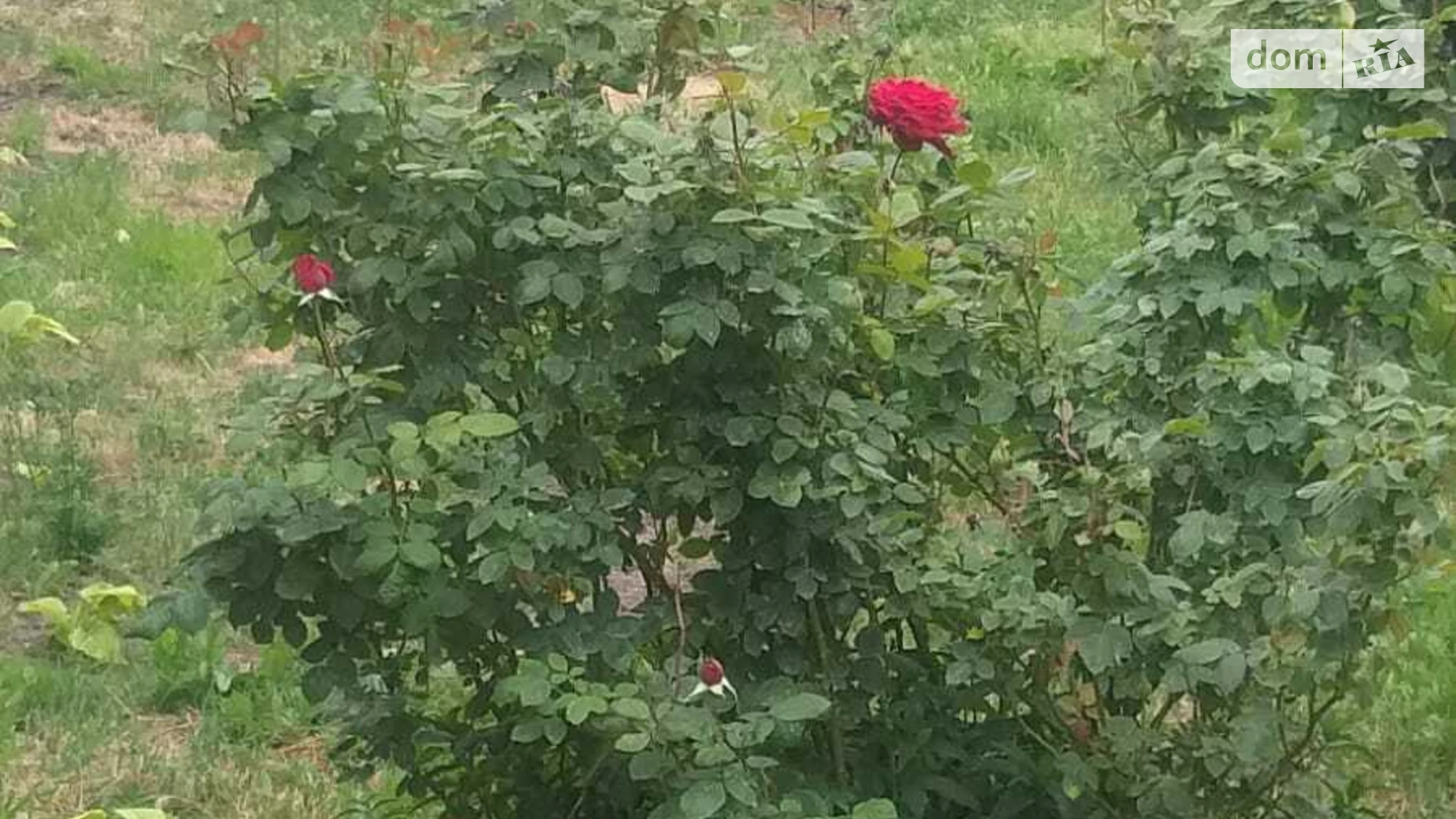 Продается одноэтажный дом 127.1 кв. м с бассейном, цена: 27500 $ - фото 5