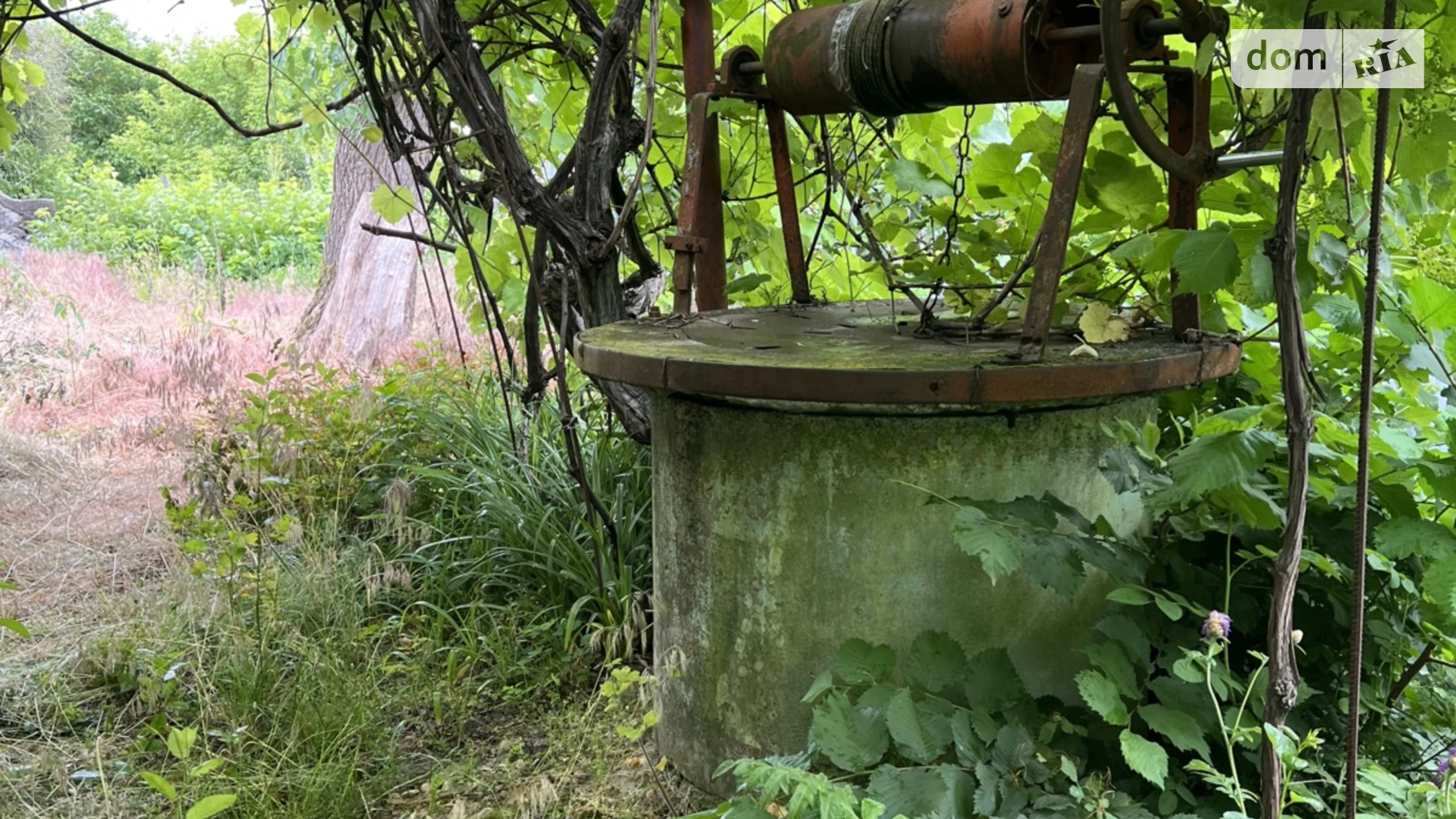 Продается одноэтажный дом 450 кв. м с камином, цена: 5800 $ - фото 5