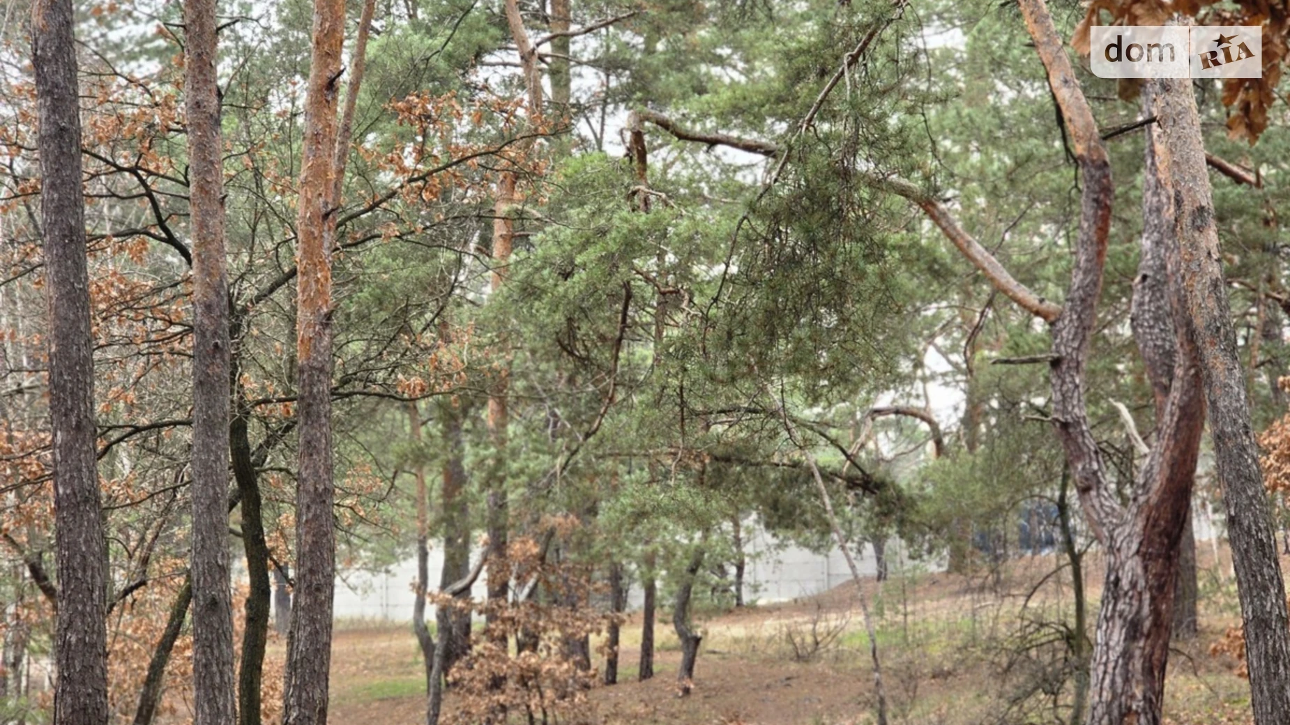 Продается земельный участок 10 соток в Киевской области, цена: 89450 $ - фото 2