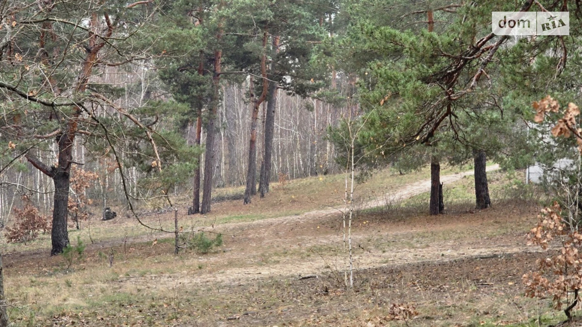 Продается земельный участок 10 соток в Киевской области, цена: 89450 $ - фото 3