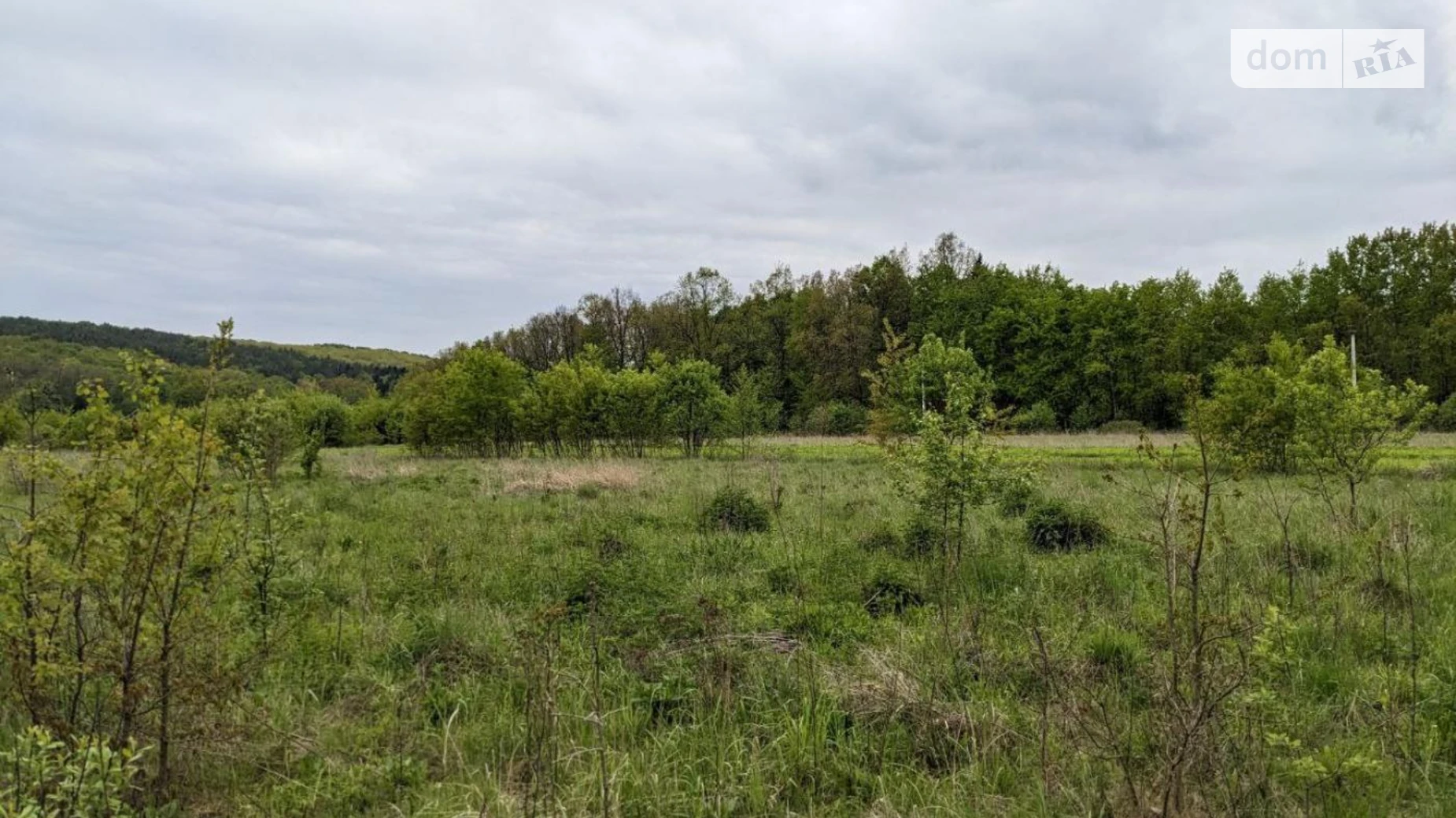 Продается земельный участок 30 соток в Ивано-Франковской области, цена: 30000 $ - фото 4