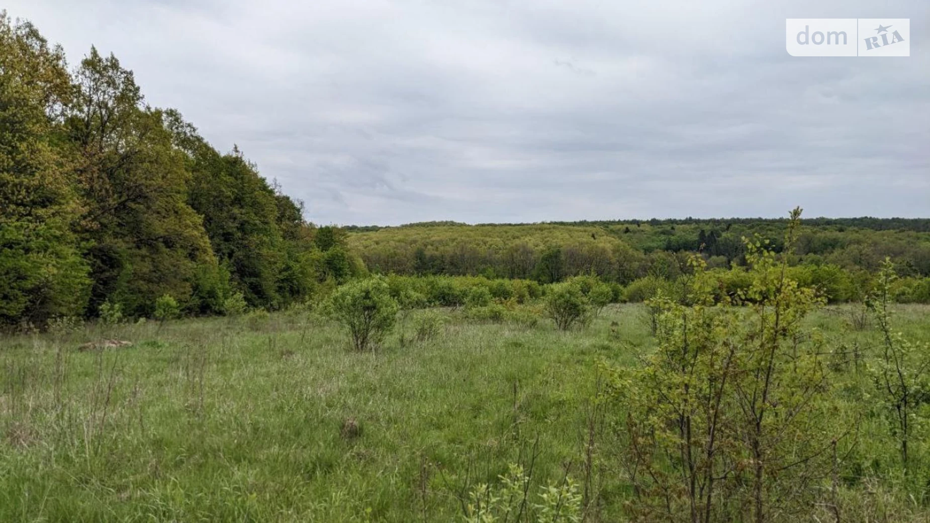 Продается земельный участок 30 соток в Ивано-Франковской области, цена: 30000 $ - фото 5