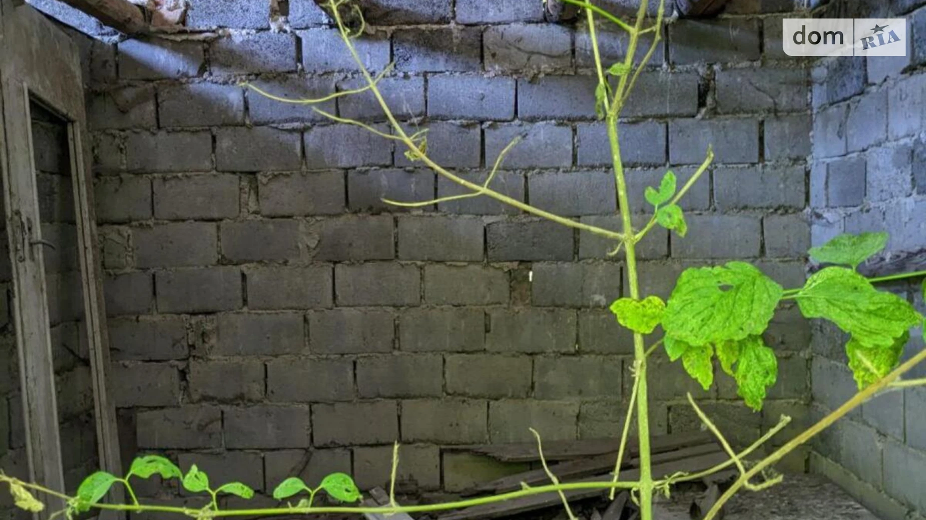 Продается земельный участок 4.89 соток в Ивано-Франковской области, цена: 6000 $ - фото 5