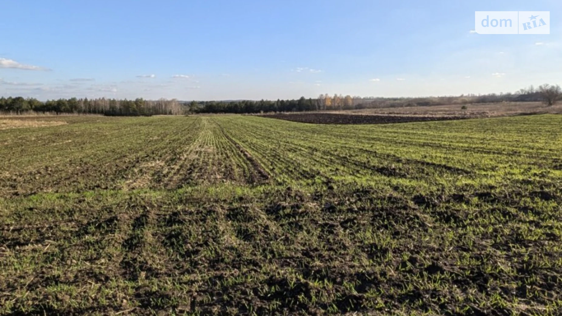 Продается земельный участок 13.92 соток в Хмельницкой области, цена: 7000 $ - фото 4
