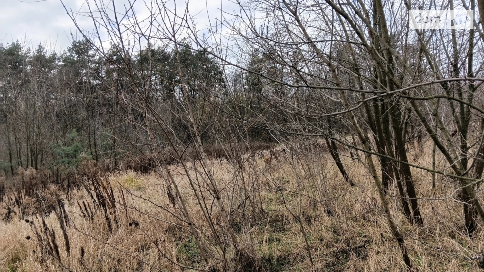 Продается земельный участок 4 соток в Винницкой области, цена: 25000 $ - фото 4