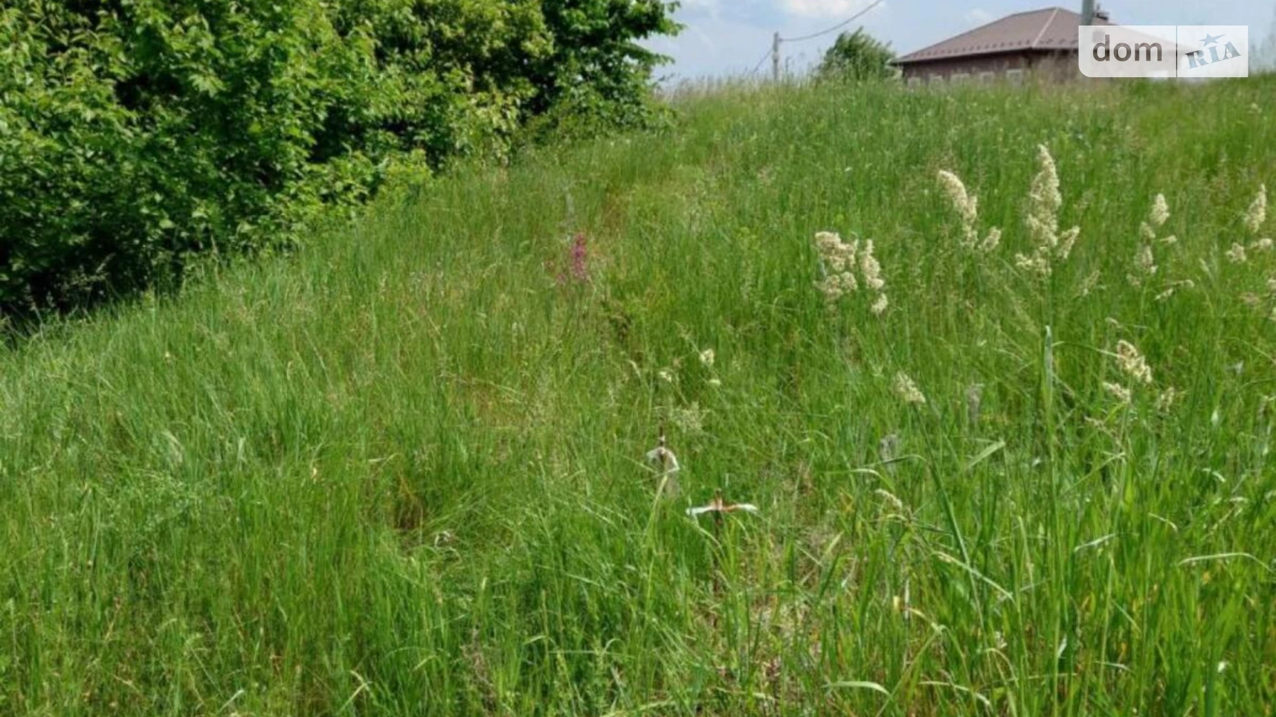 Лісники, цена: 85000 $ - фото 2