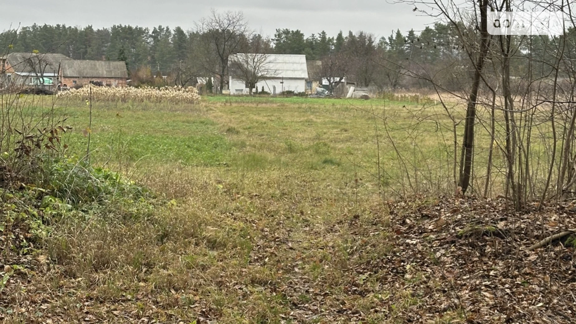 Продается земельный участок 18.13 соток в Винницкой области, цена: 13000 $ - фото 4