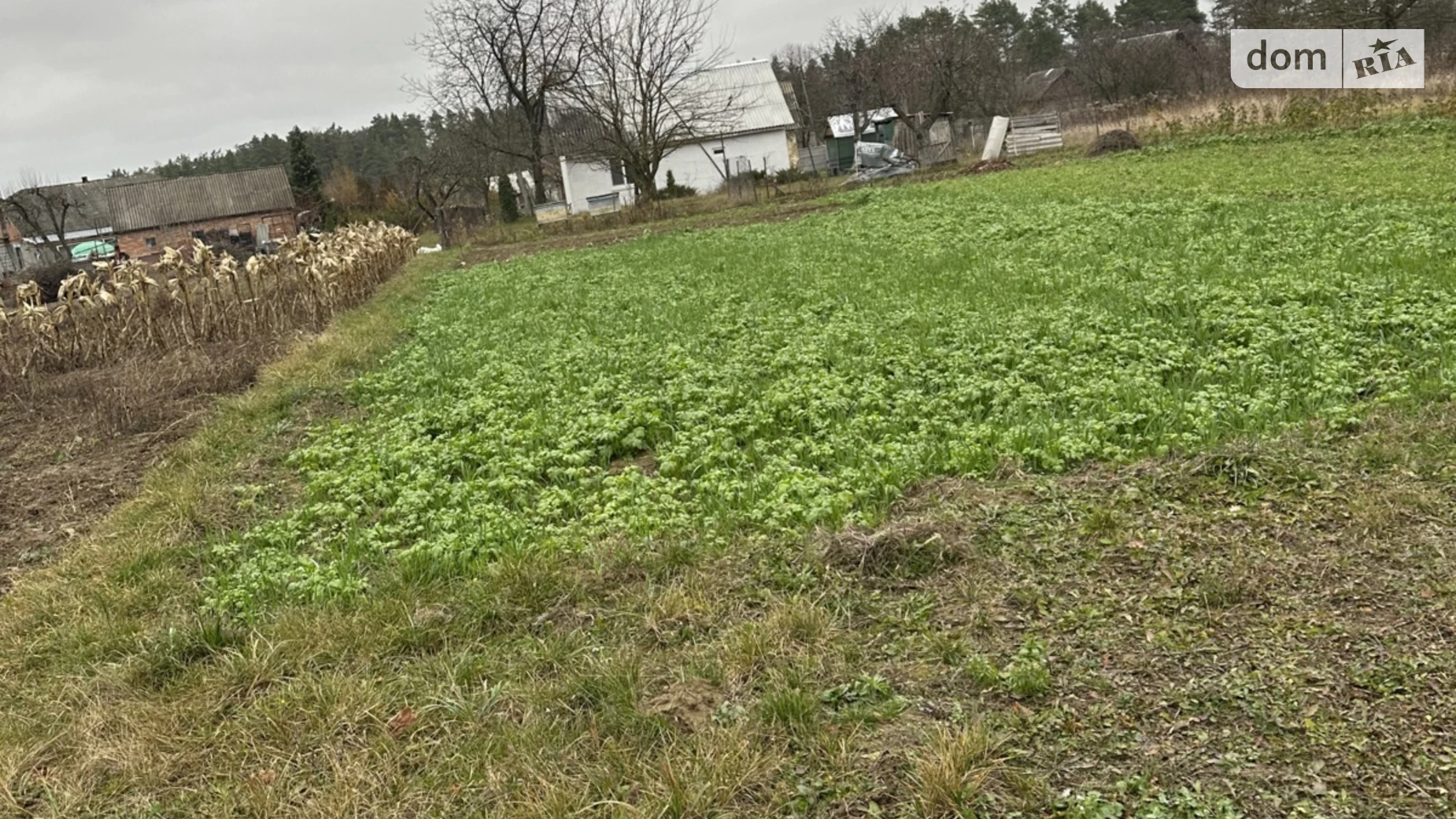 Продается земельный участок 18.13 соток в Винницкой области, цена: 13000 $ - фото 5