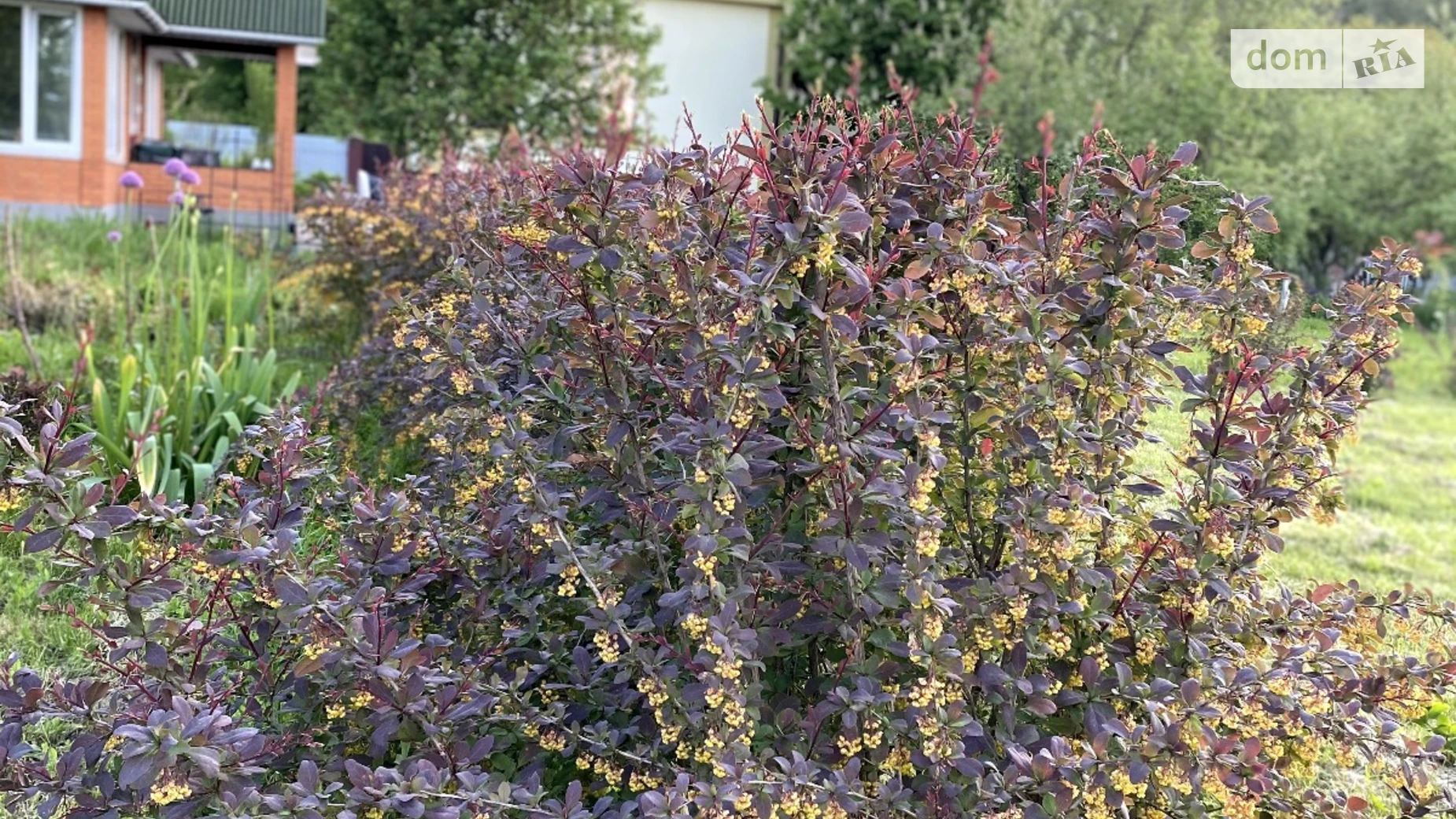 Продается дом на 3 этажа 239 кв. м с садом, цена: 350000 € - фото 5