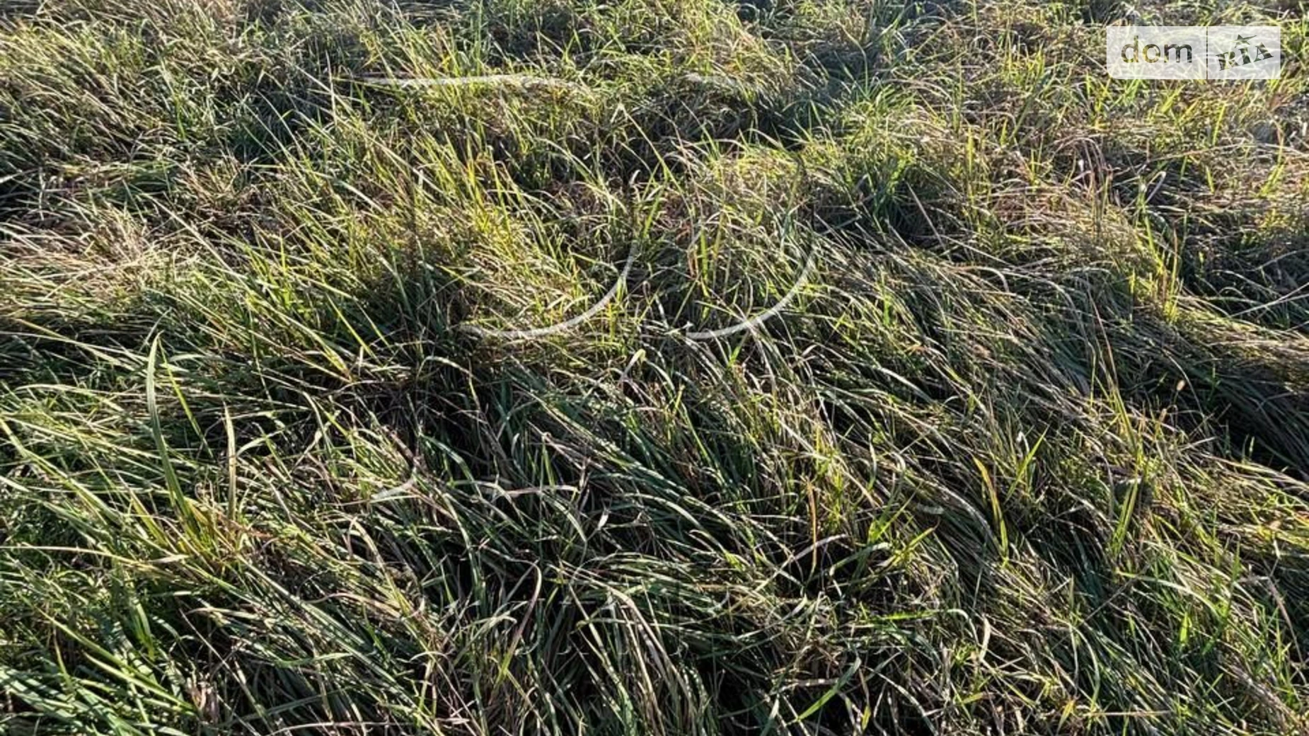 Продається земельна ділянка 8.09 соток у Київській області, цена: 120000 $ - фото 4