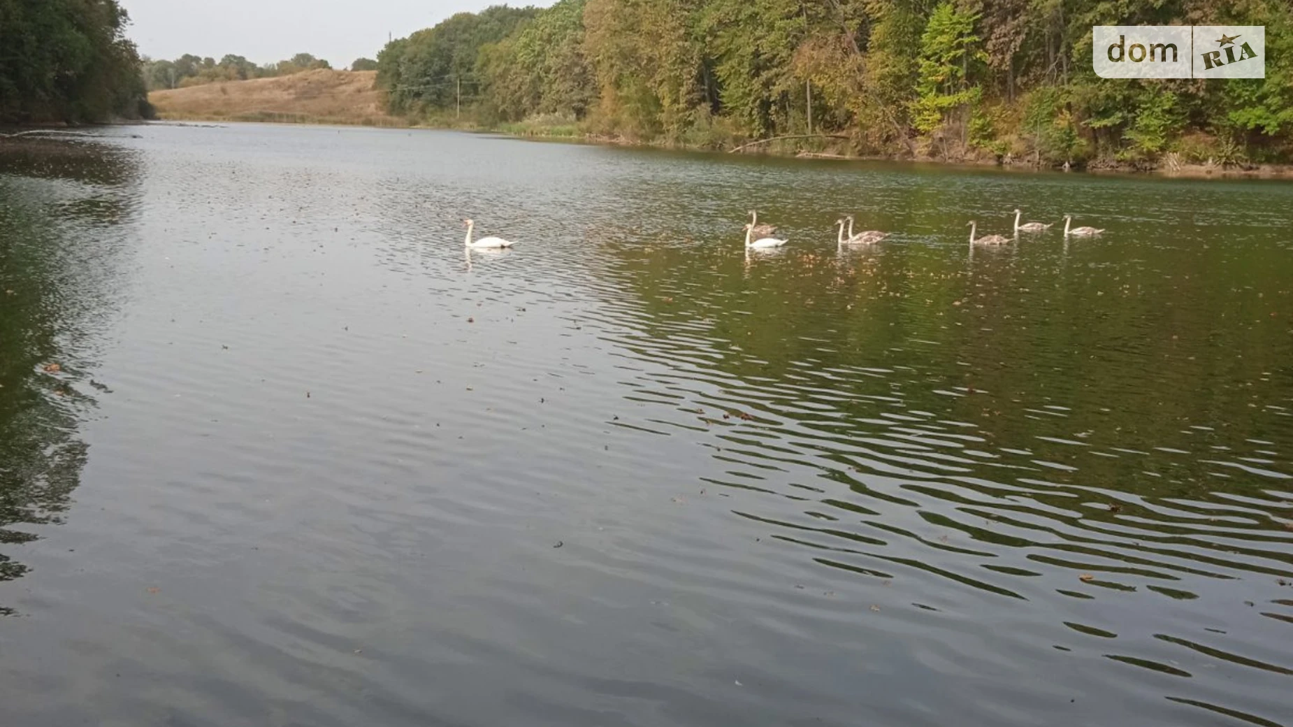 Сдается в аренду земельный участок 7.7557 соток в  области, цена: 11206 грн - фото 2