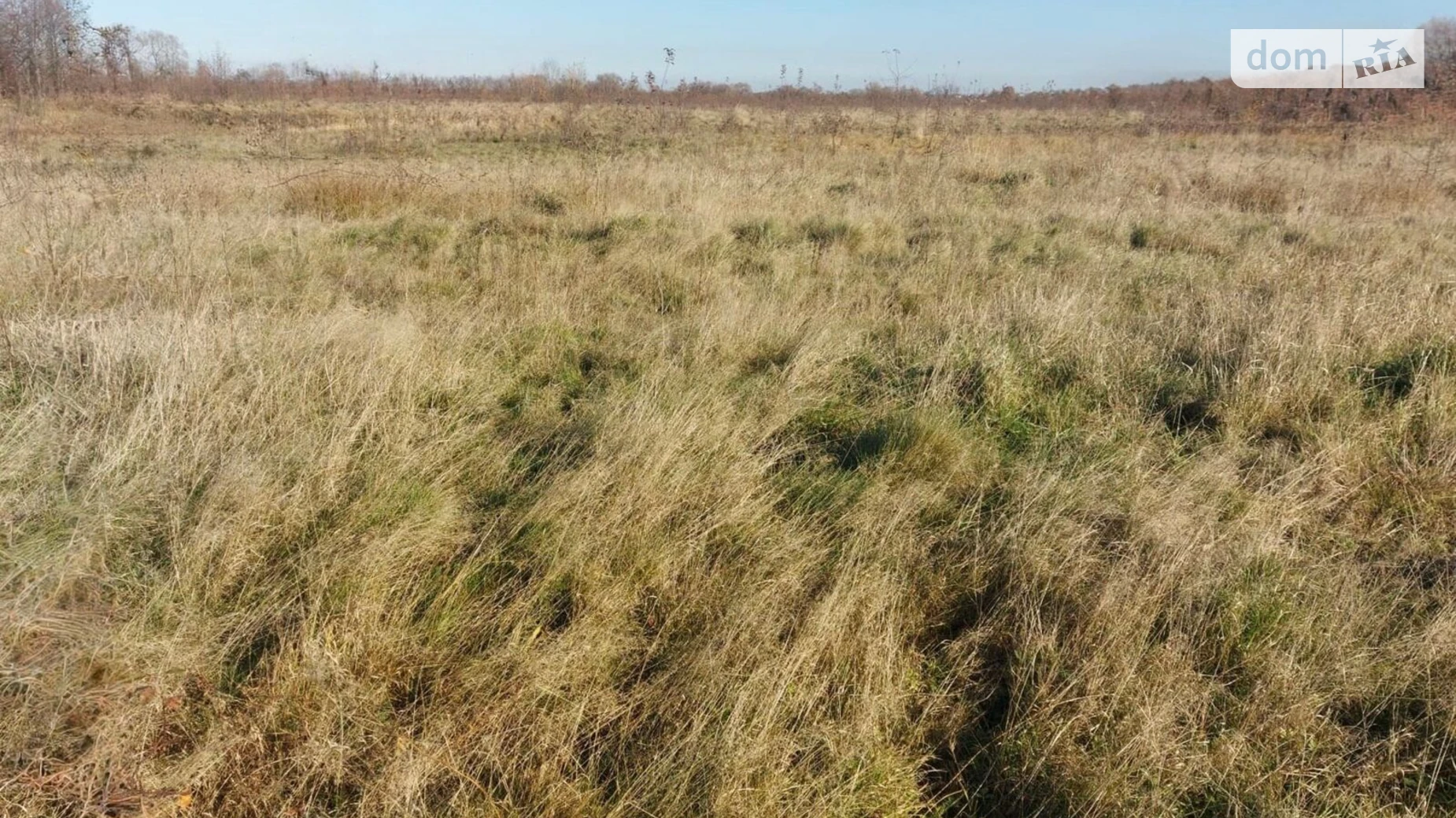 Здається в оренду земельна ділянка 3.1 соток у Івано-Франківській області, цена: 9054 грн - фото 2