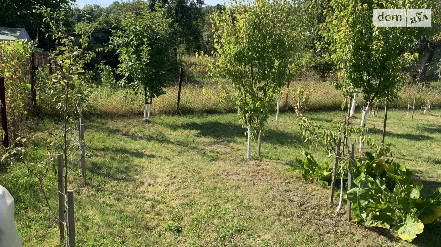 мас. Золотая осень Буцнев, цена: 28000 $ - фото 2